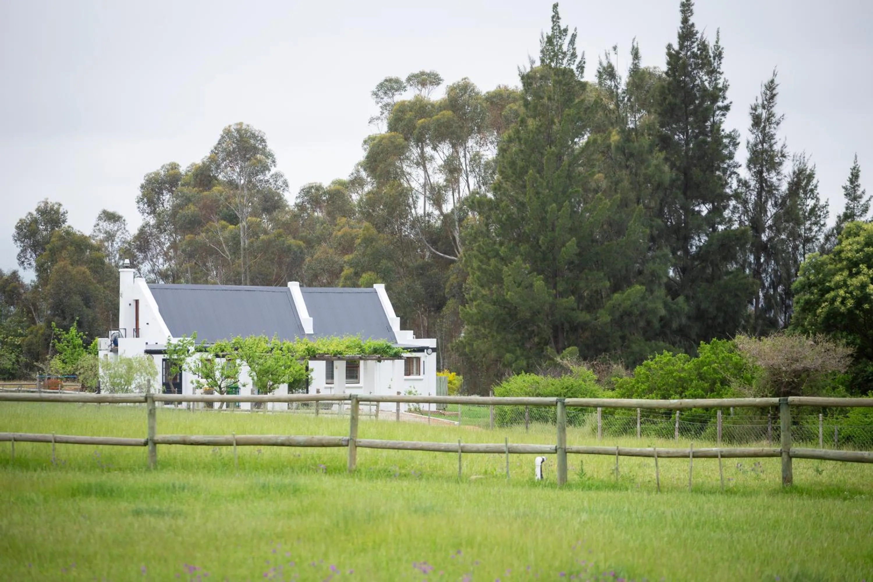 Property building in Raptor Rise Farm