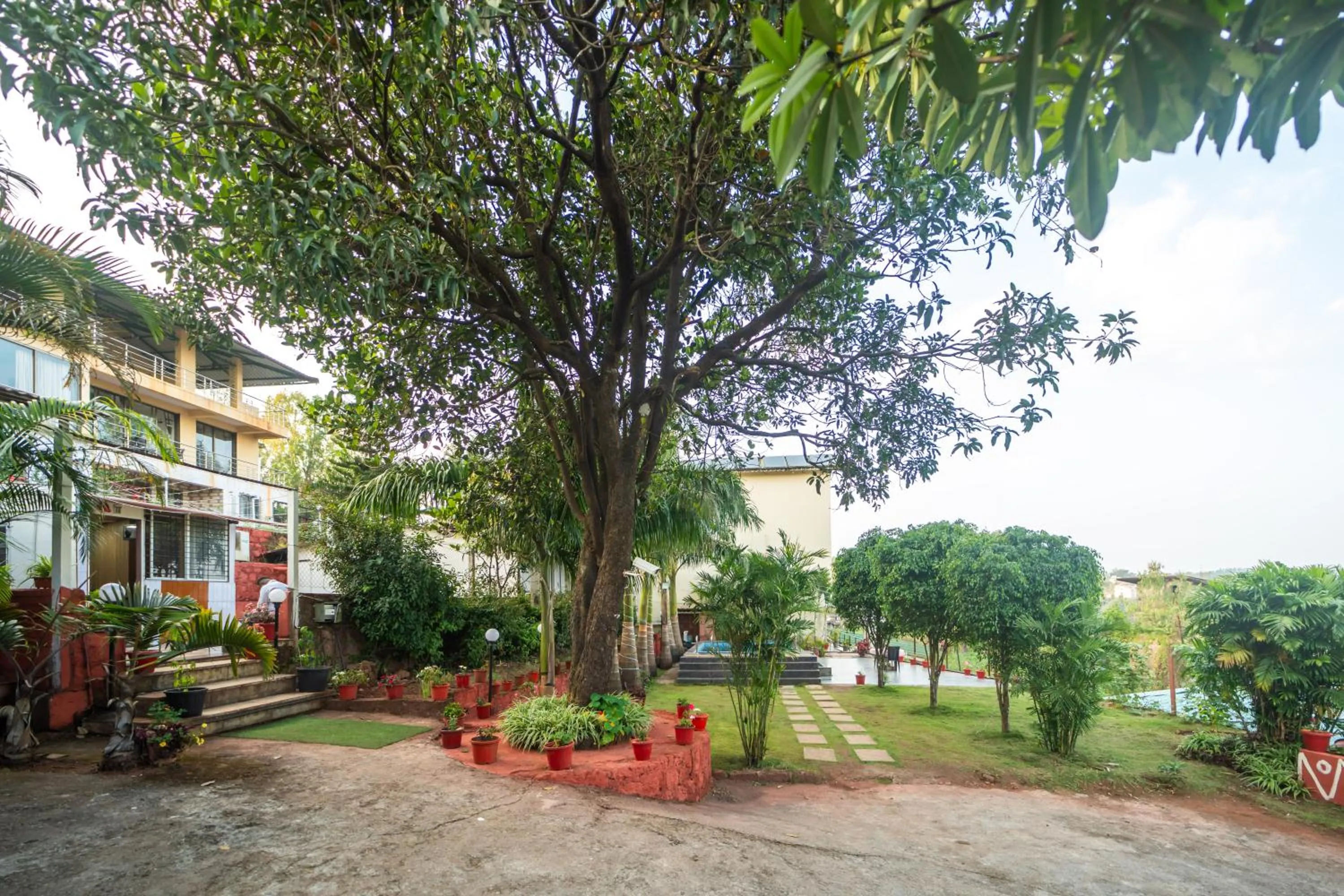 Day in Strawberry County