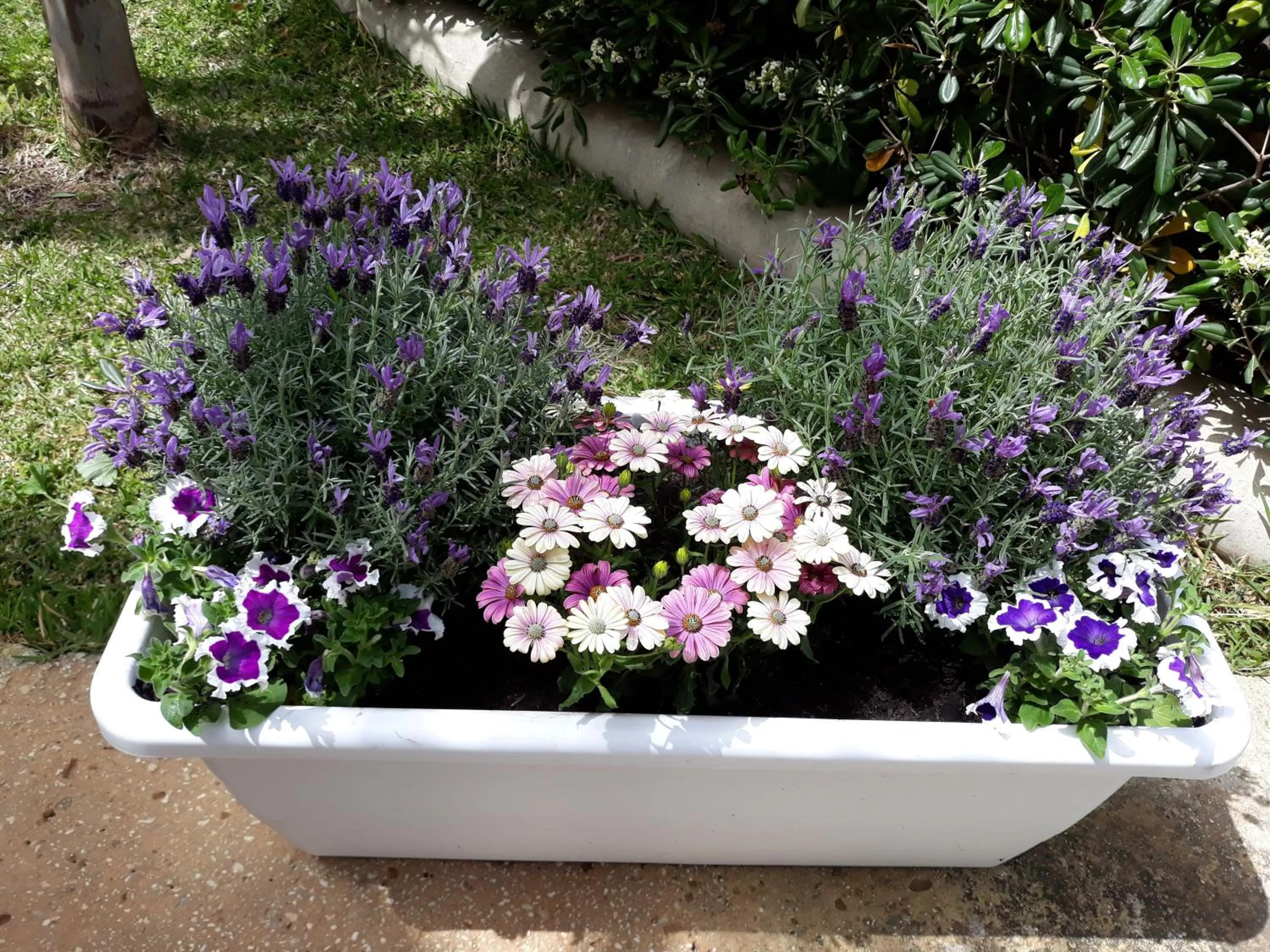 Mare Nostrum Casa Vacanza