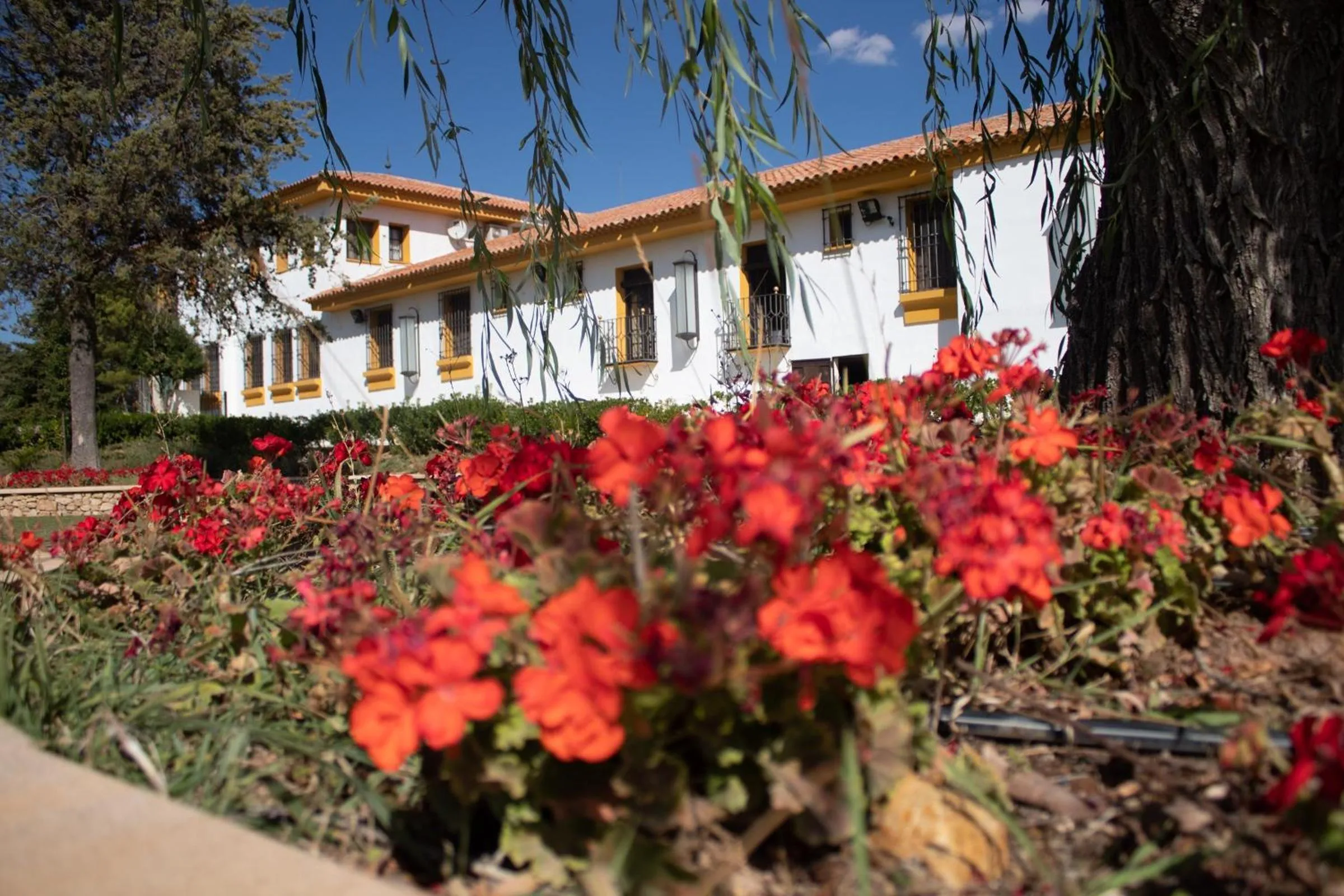 Off site in Hotel Finca las Beatas