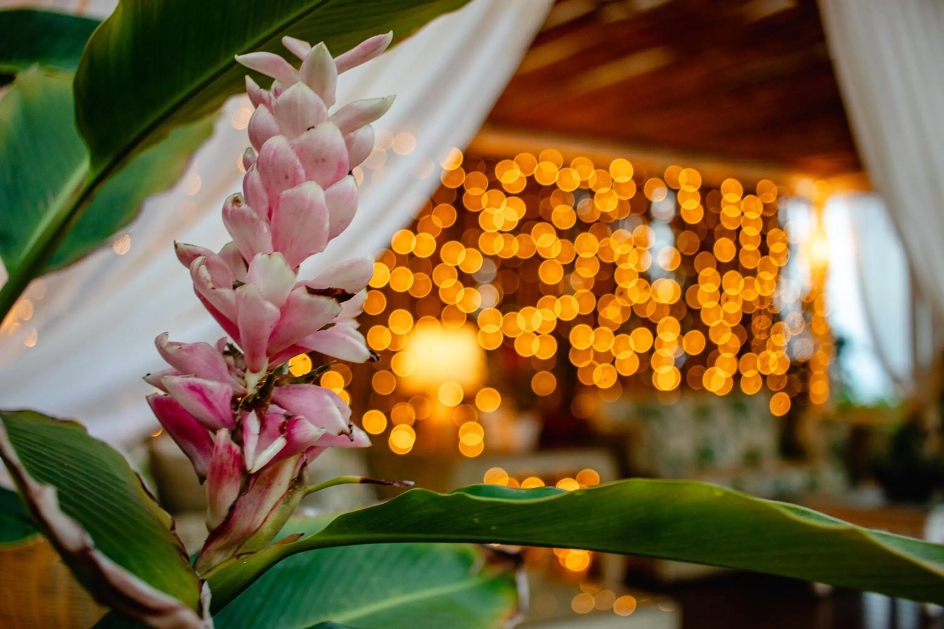 Privillage Praia Pousada de Charme