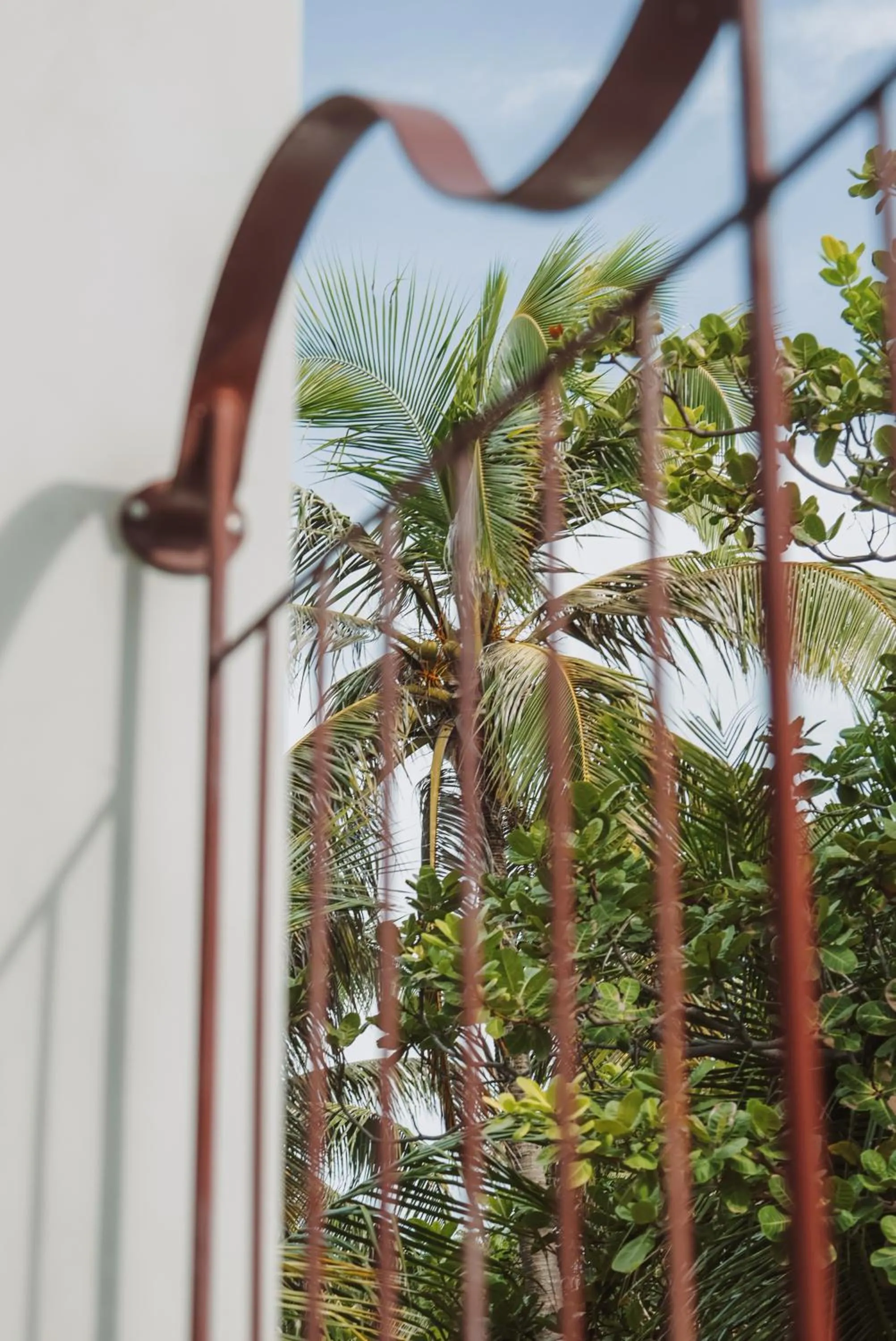 Natural landscape in Luau Hotel