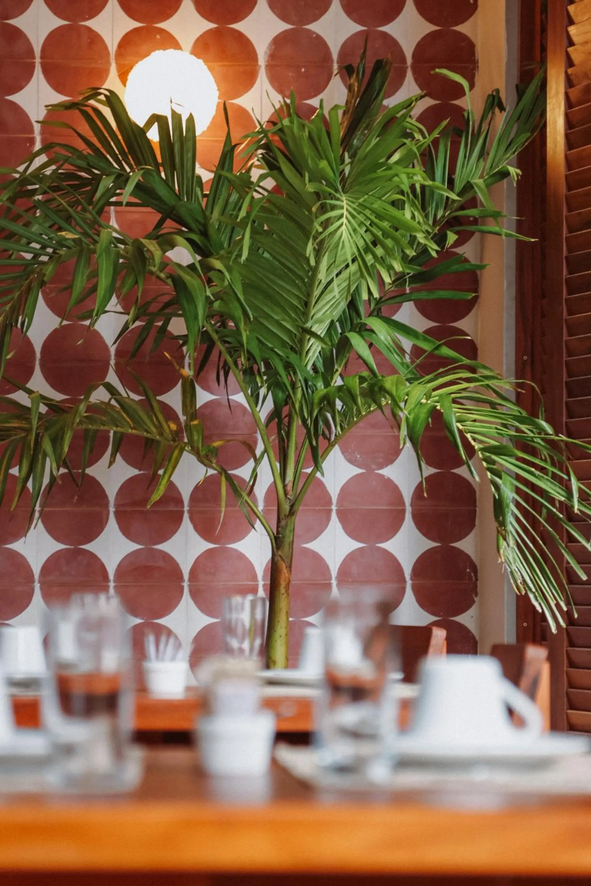 Restaurant/places to eat in Luau Hotel