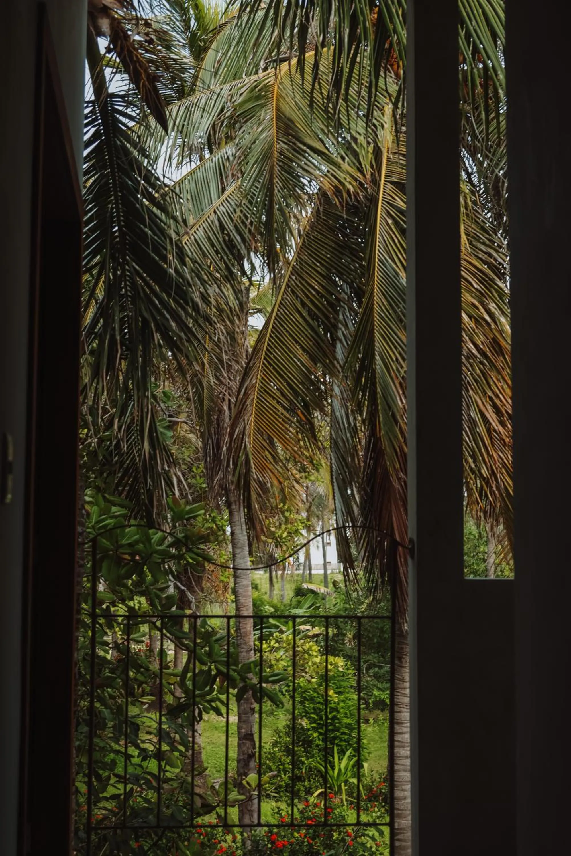 Natural landscape in Luau Hotel