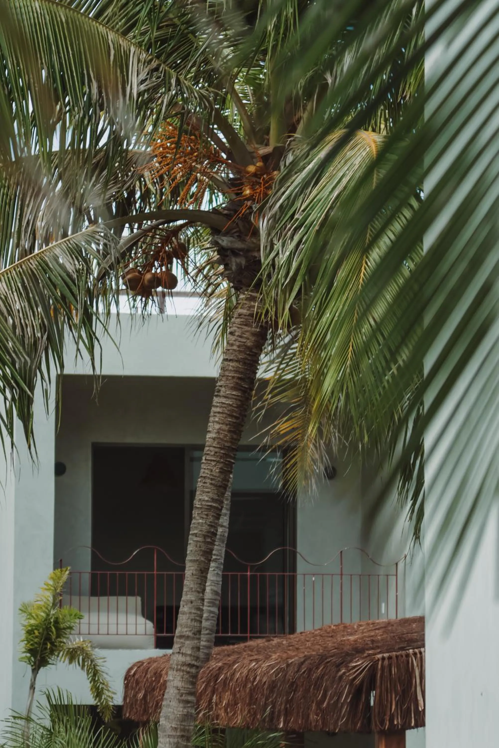 Property building in Luau Hotel