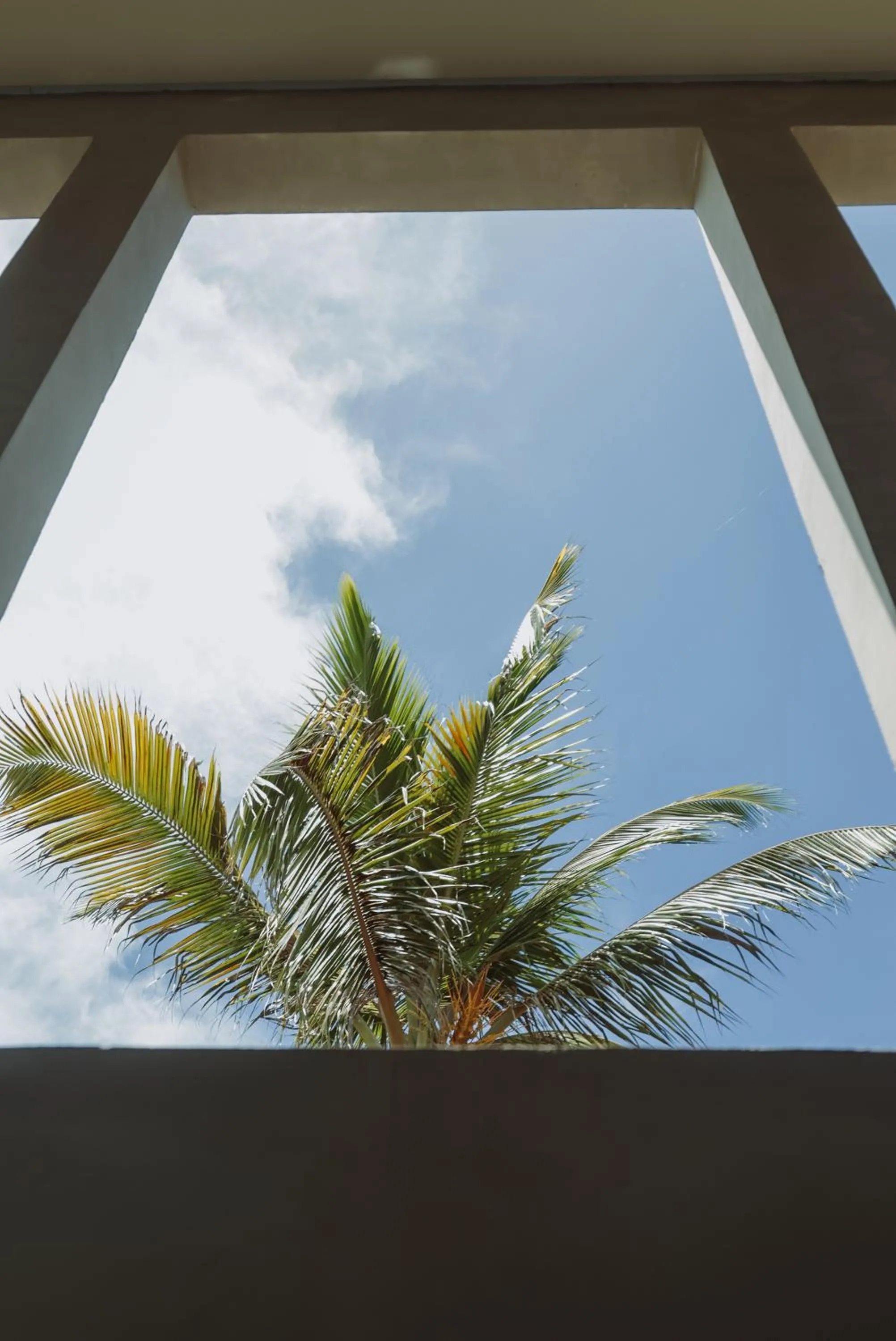 Property building in Luau Hotel