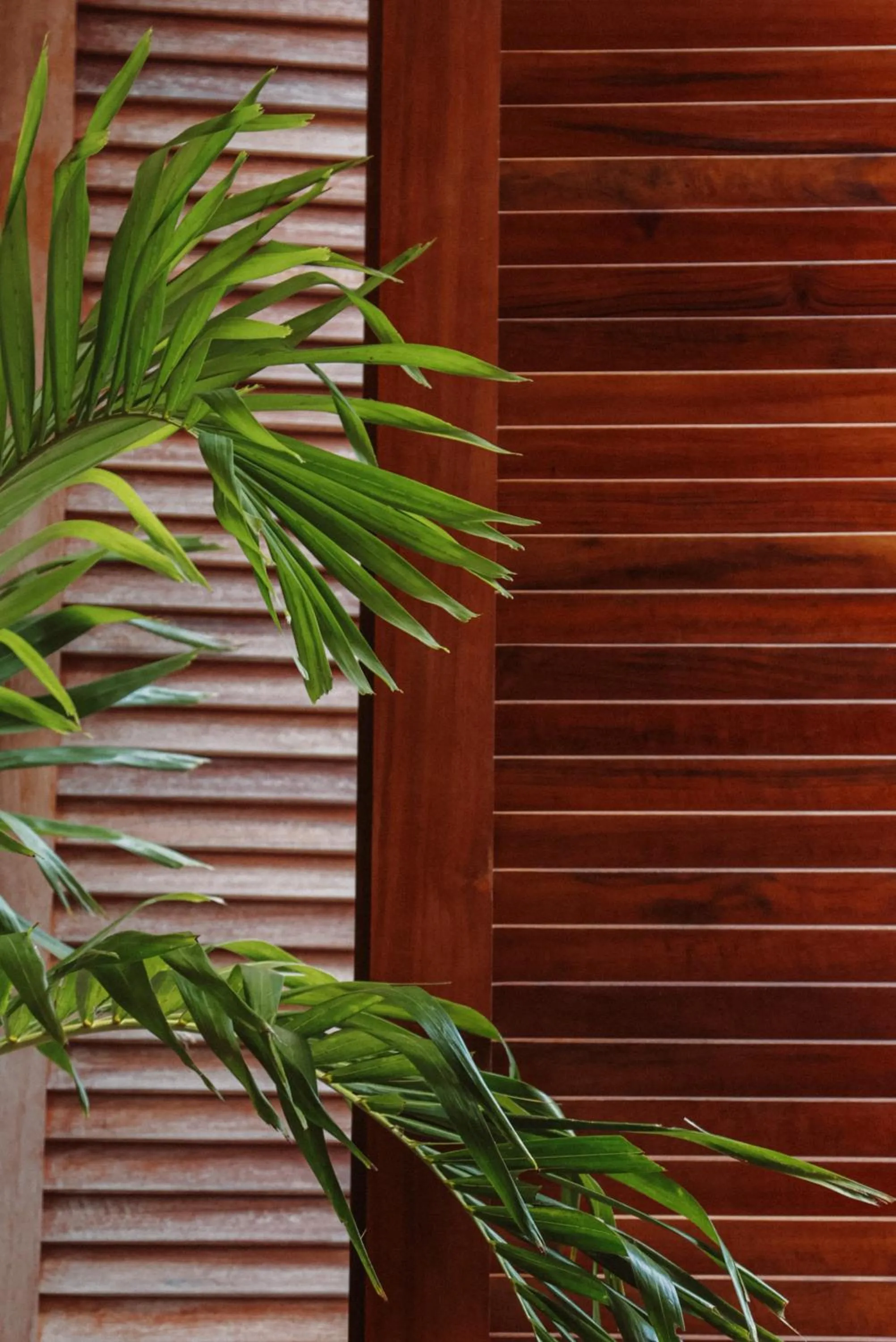 Property building in Luau Hotel