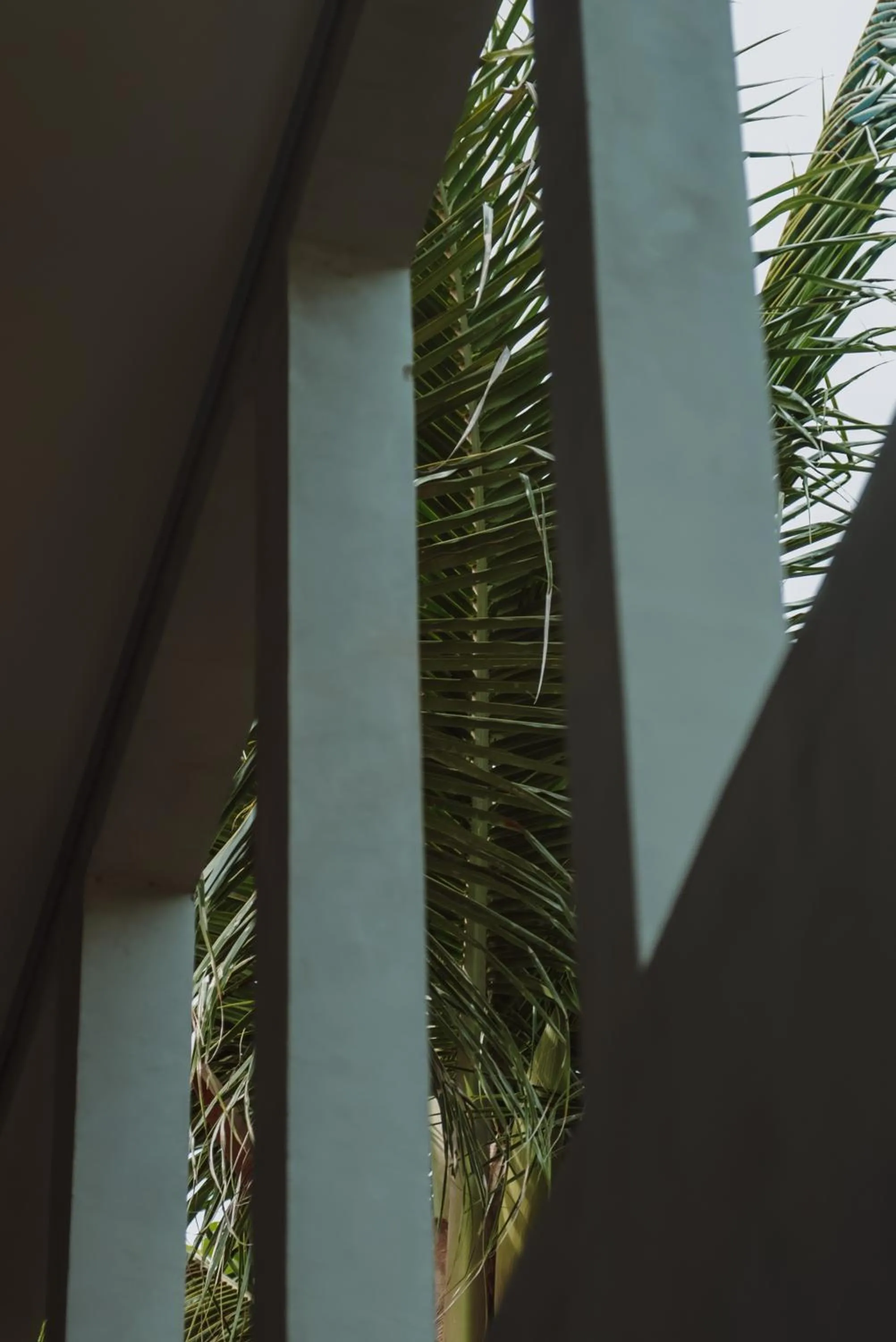 Property building in Luau Hotel