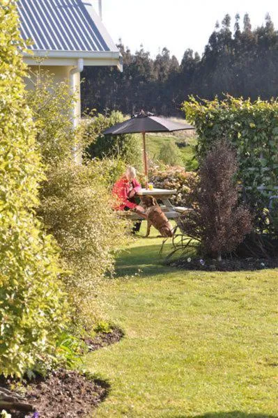 Blue Thistle Cottages