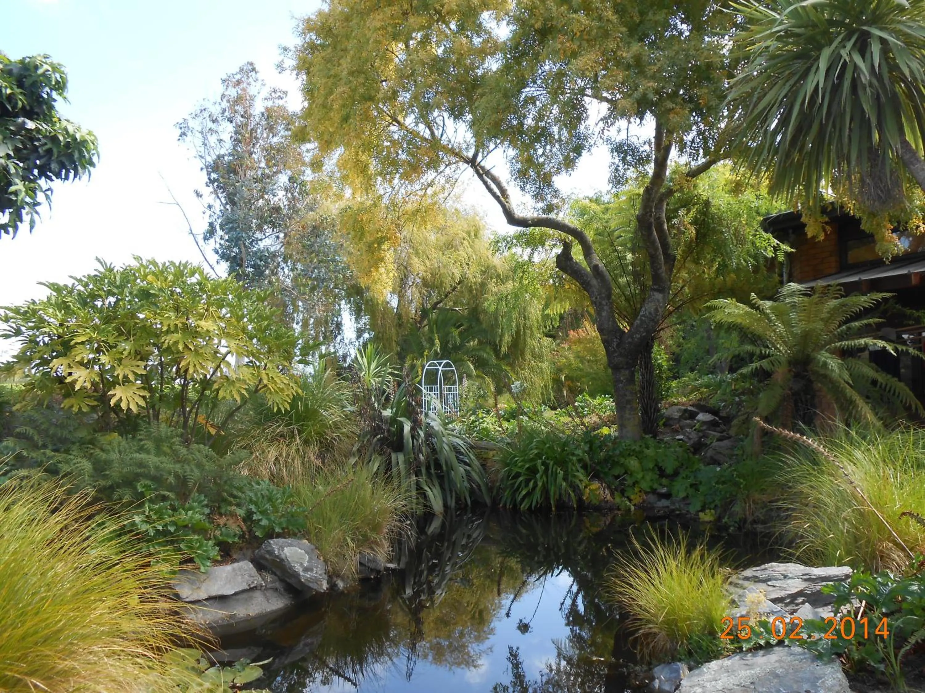 Garden in Antares Homestay