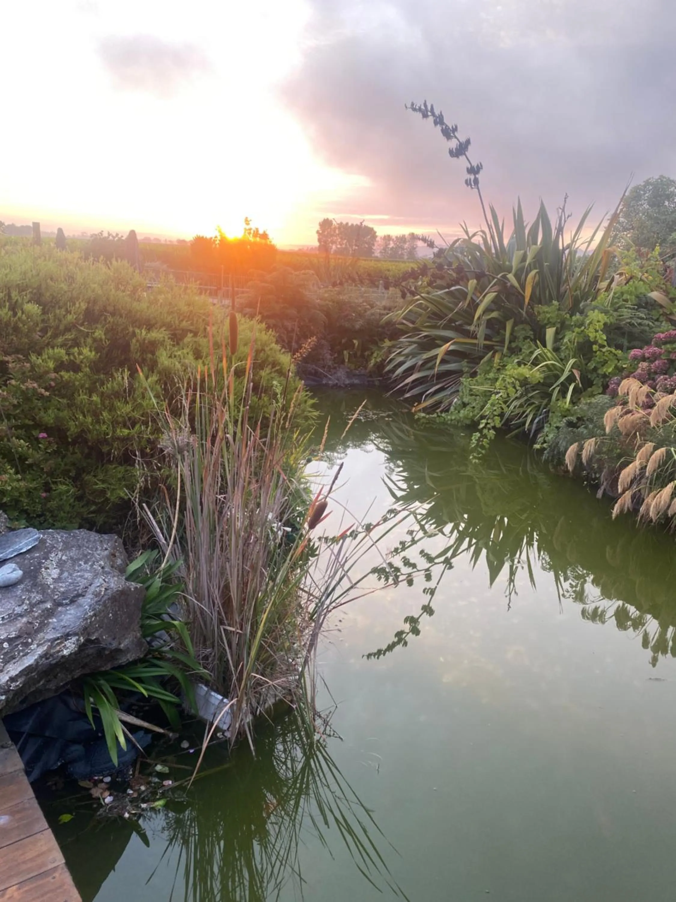 Sunrise in Antares Homestay