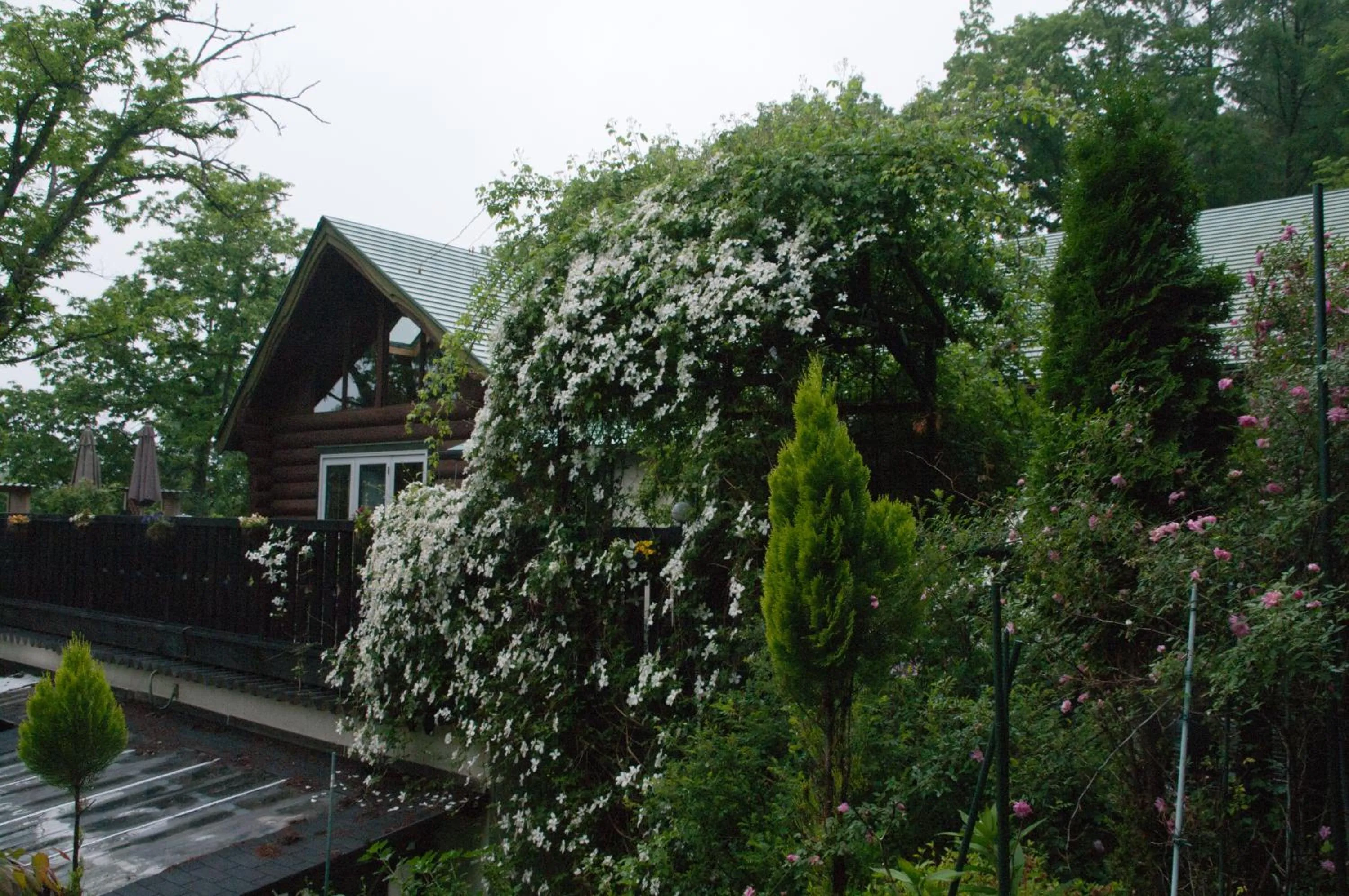 Summer in Tombouctou