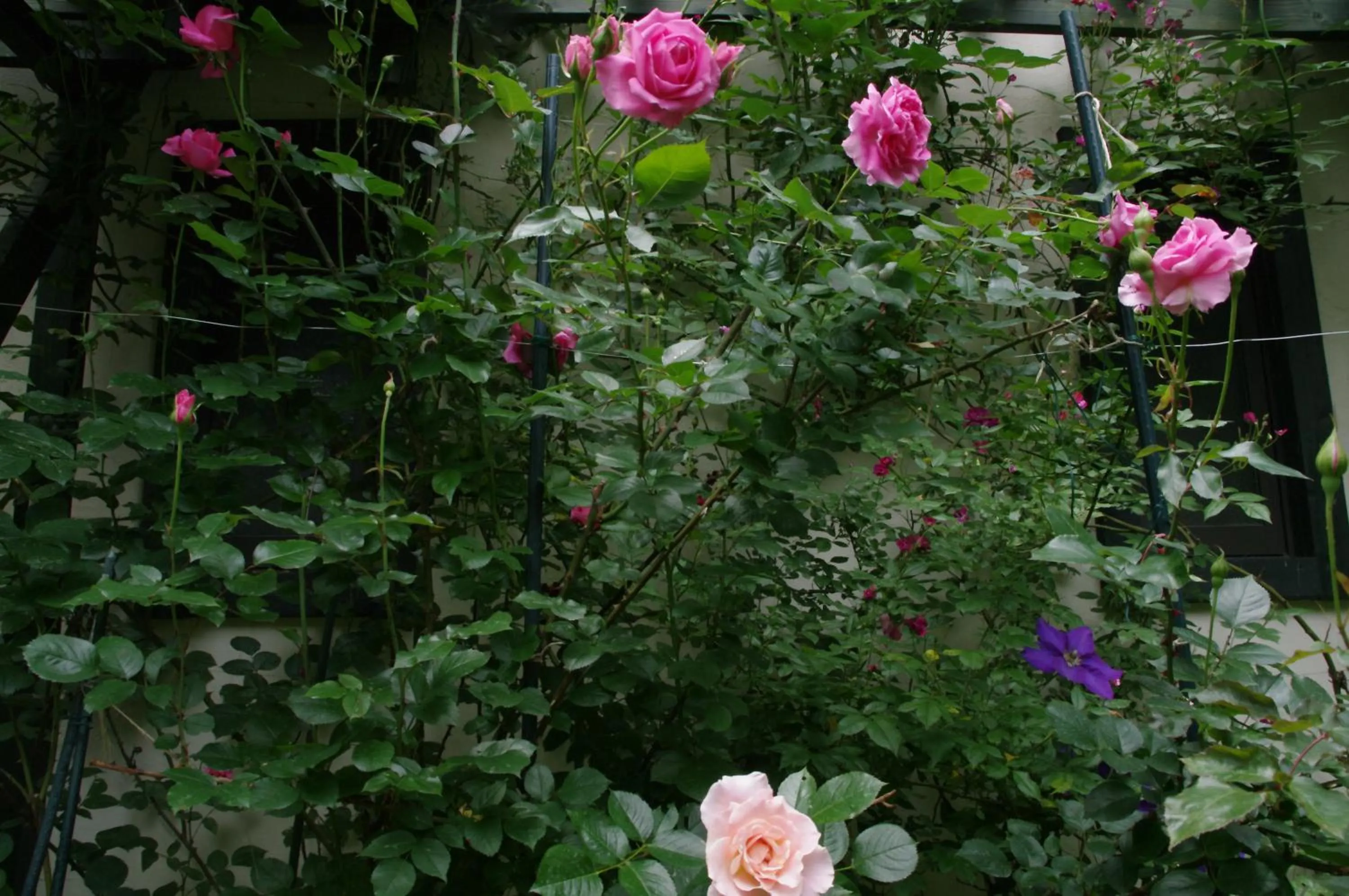 Summer in Tombouctou