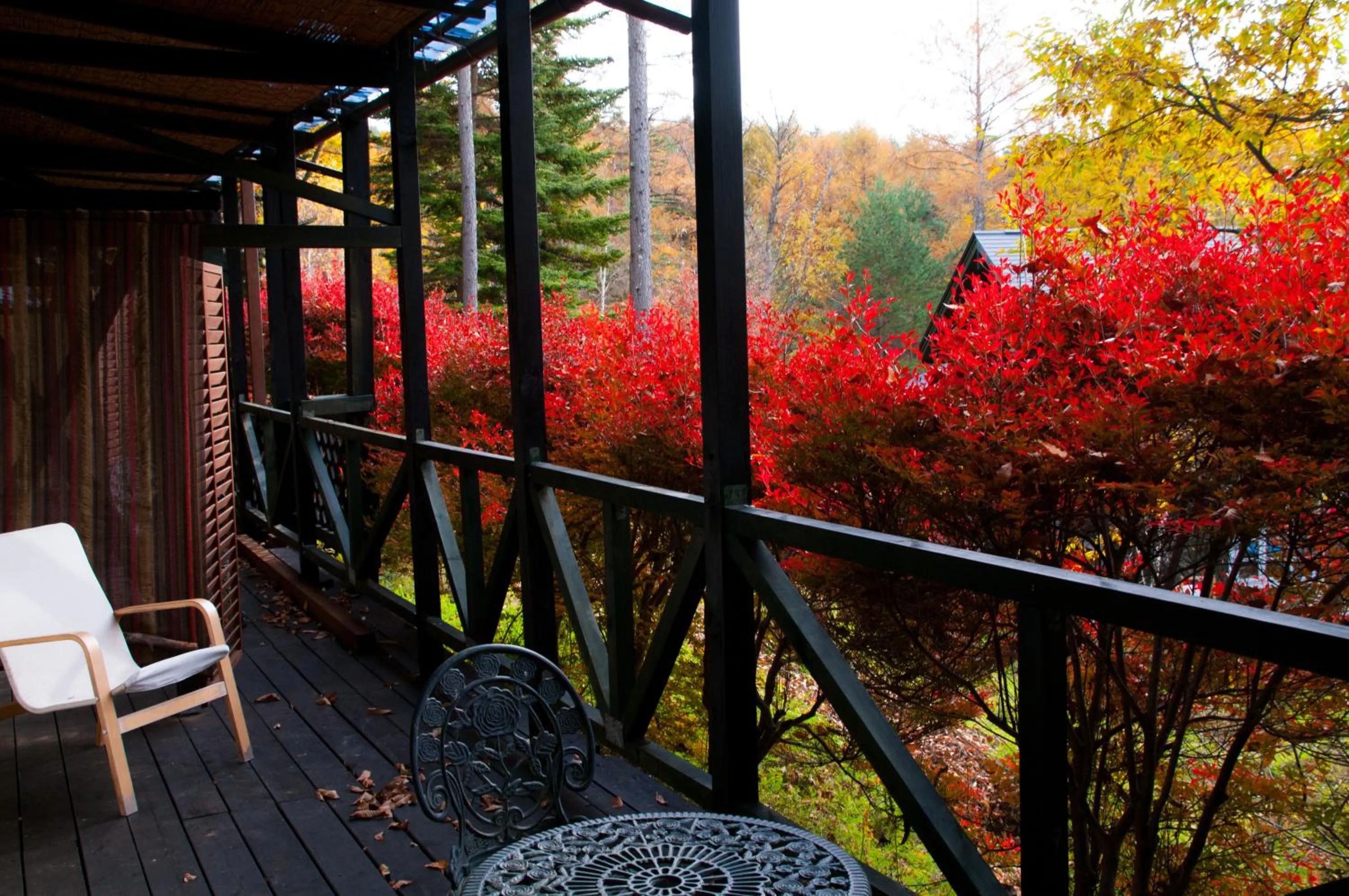 Garden in Tombouctou