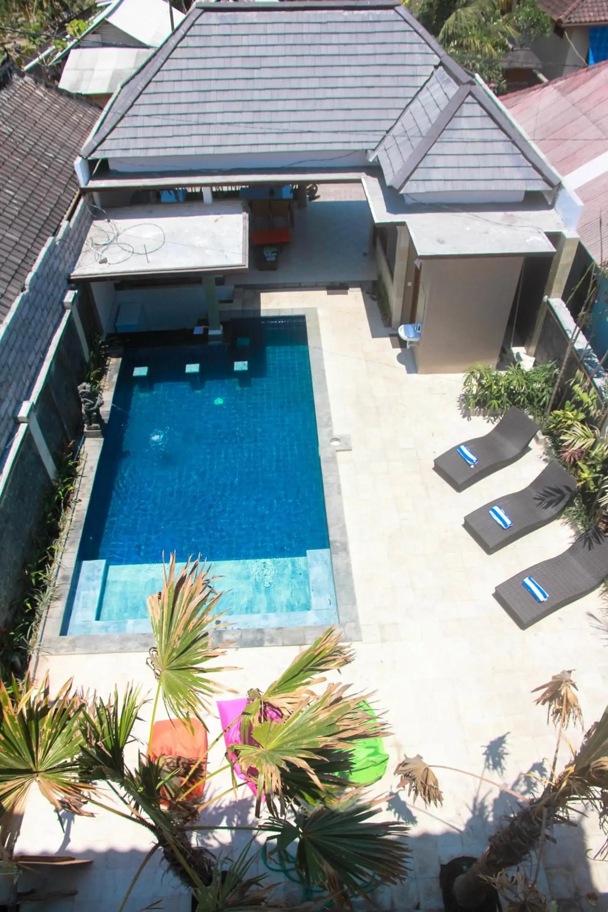 Swimming pool in D'Camel Hotel Lembongan Swimming pool in D'Camel Hotel Lembongan