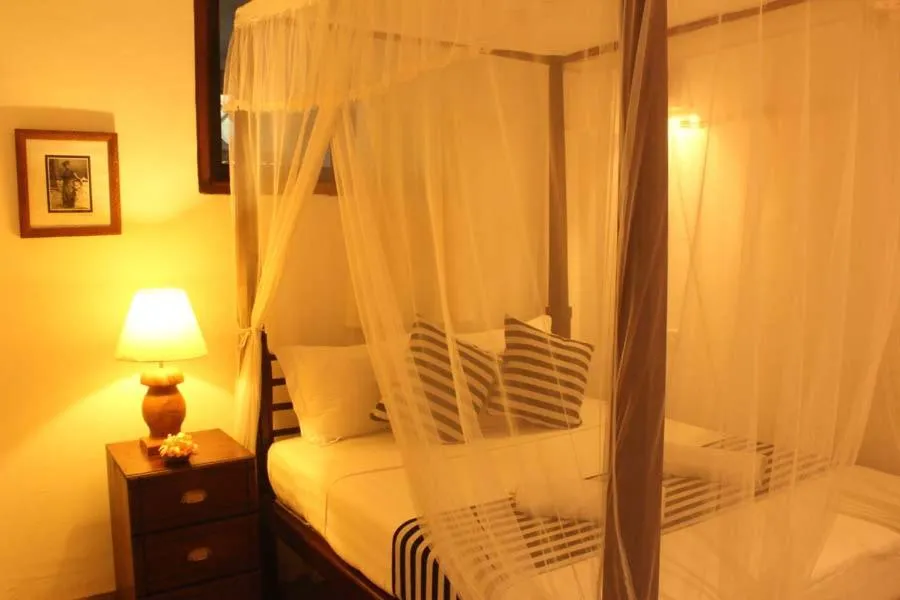 Pedlar 62 Guest House