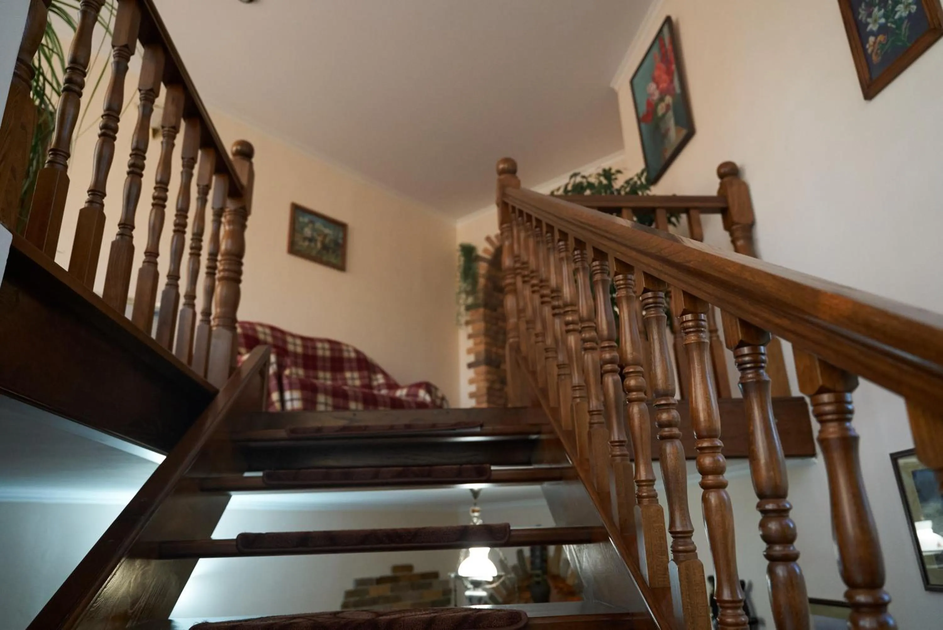 Argo Guest House