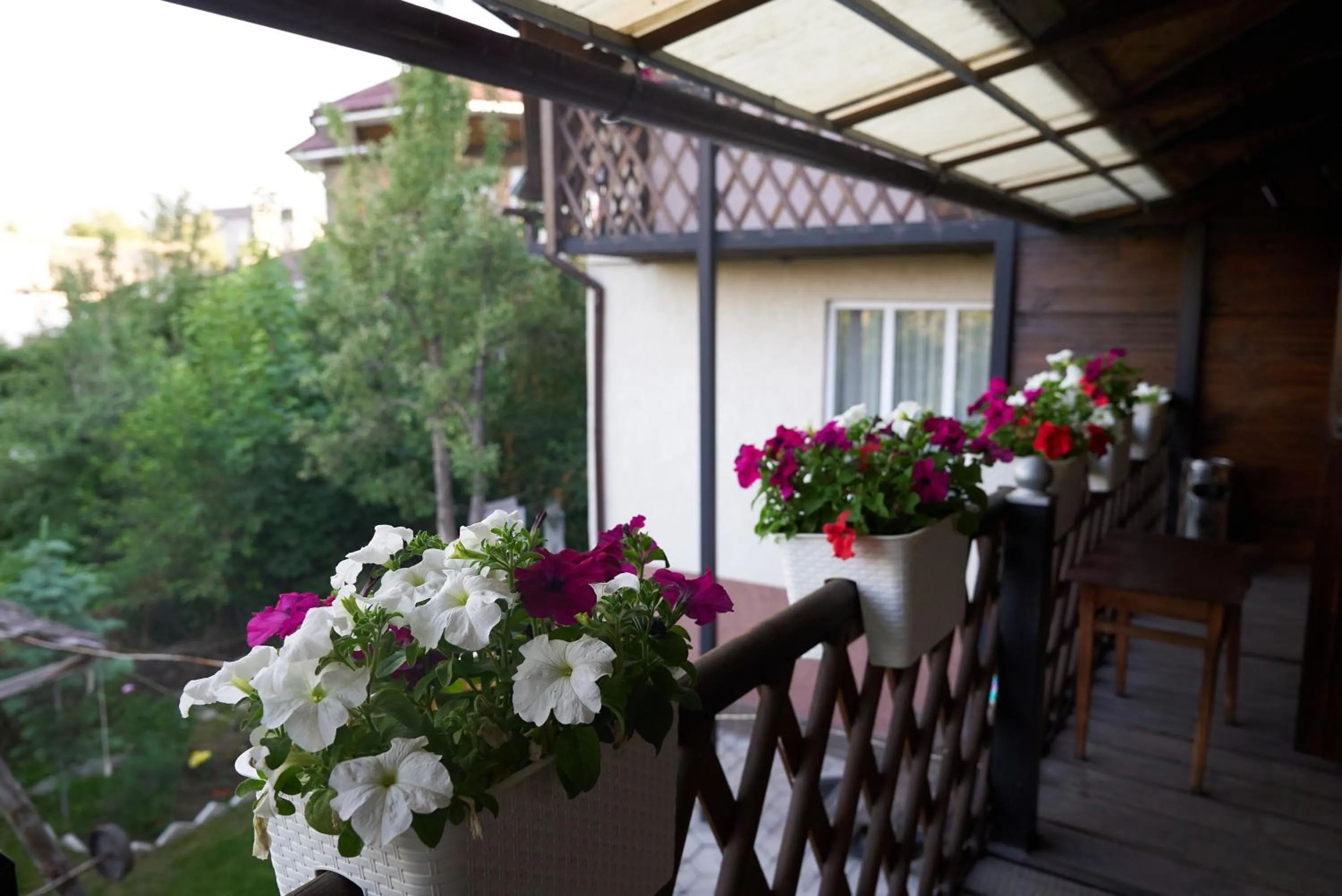 Argo Guest House
