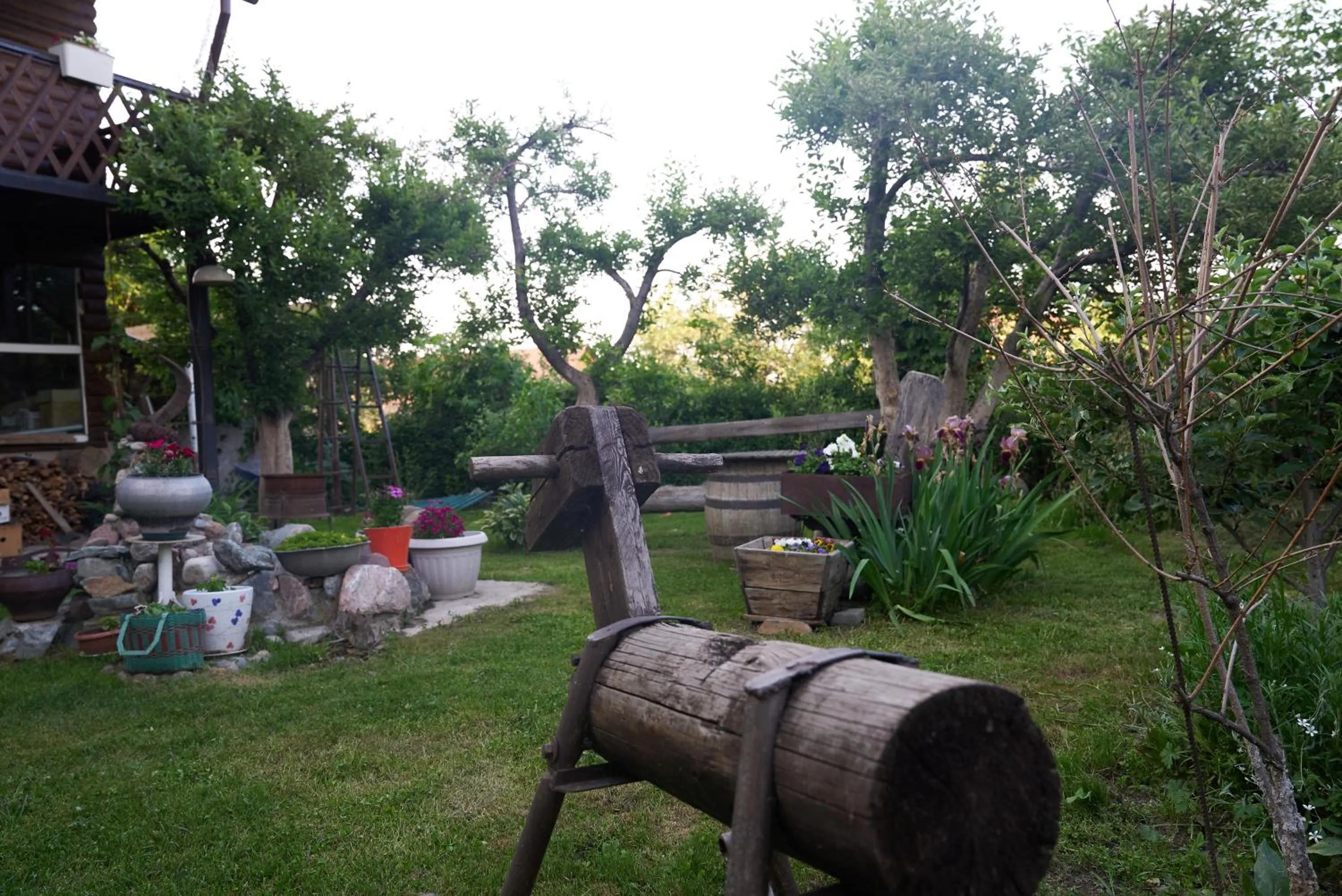 Argo Guest House