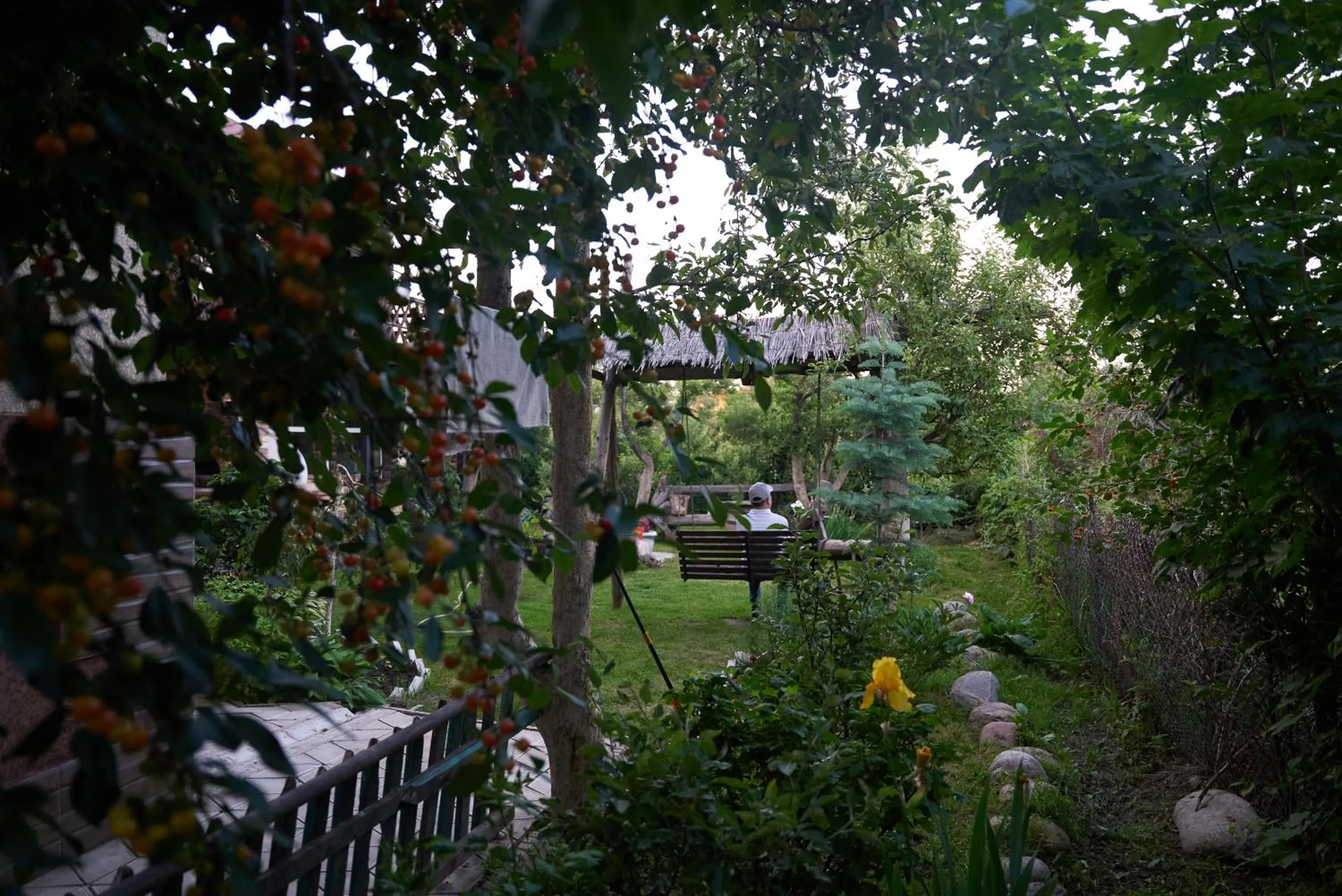 Argo Guest House