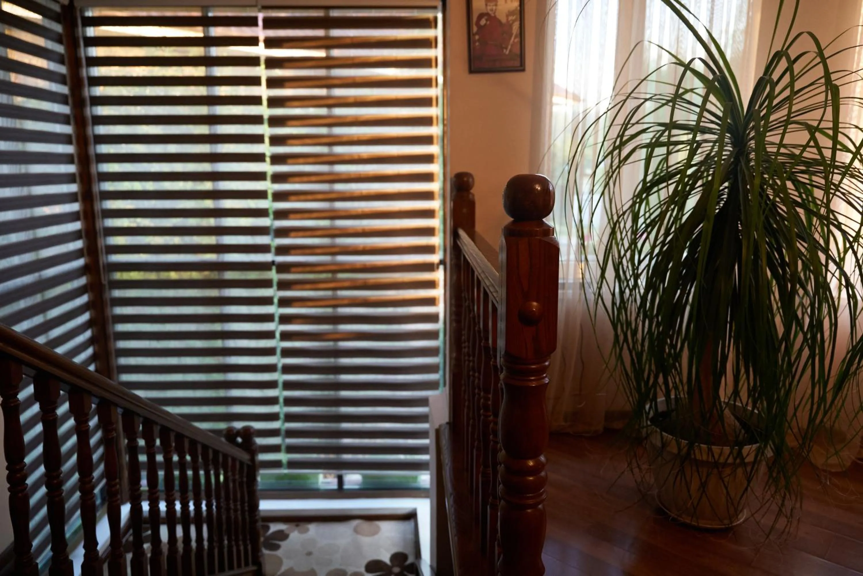 Argo Guest House