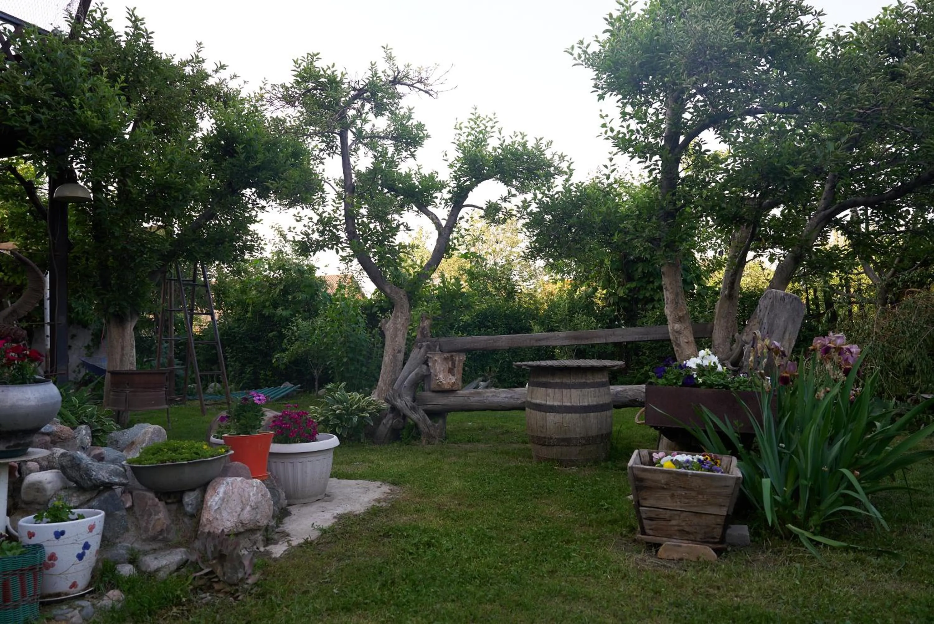 Argo Guest House