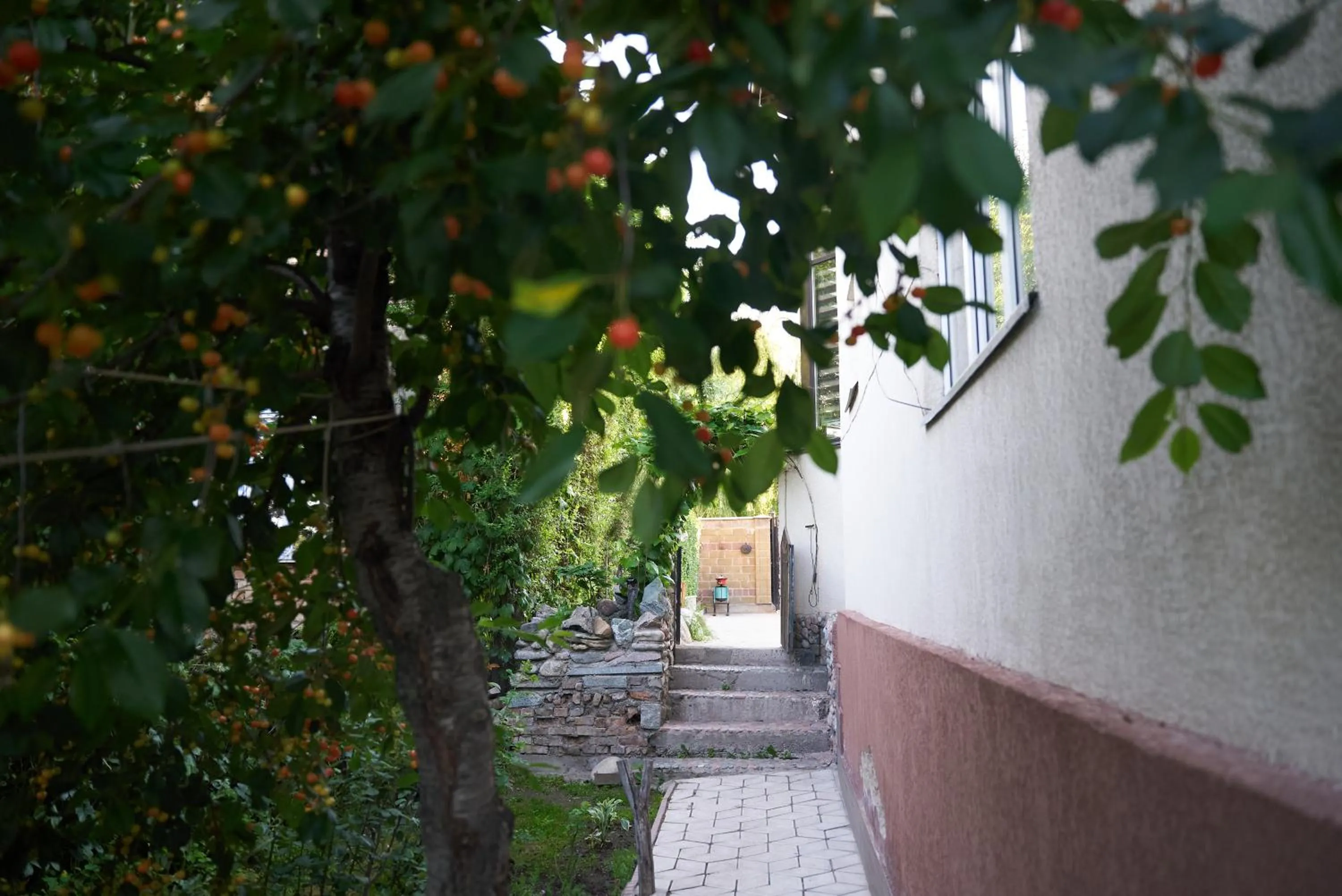 Argo Guest House