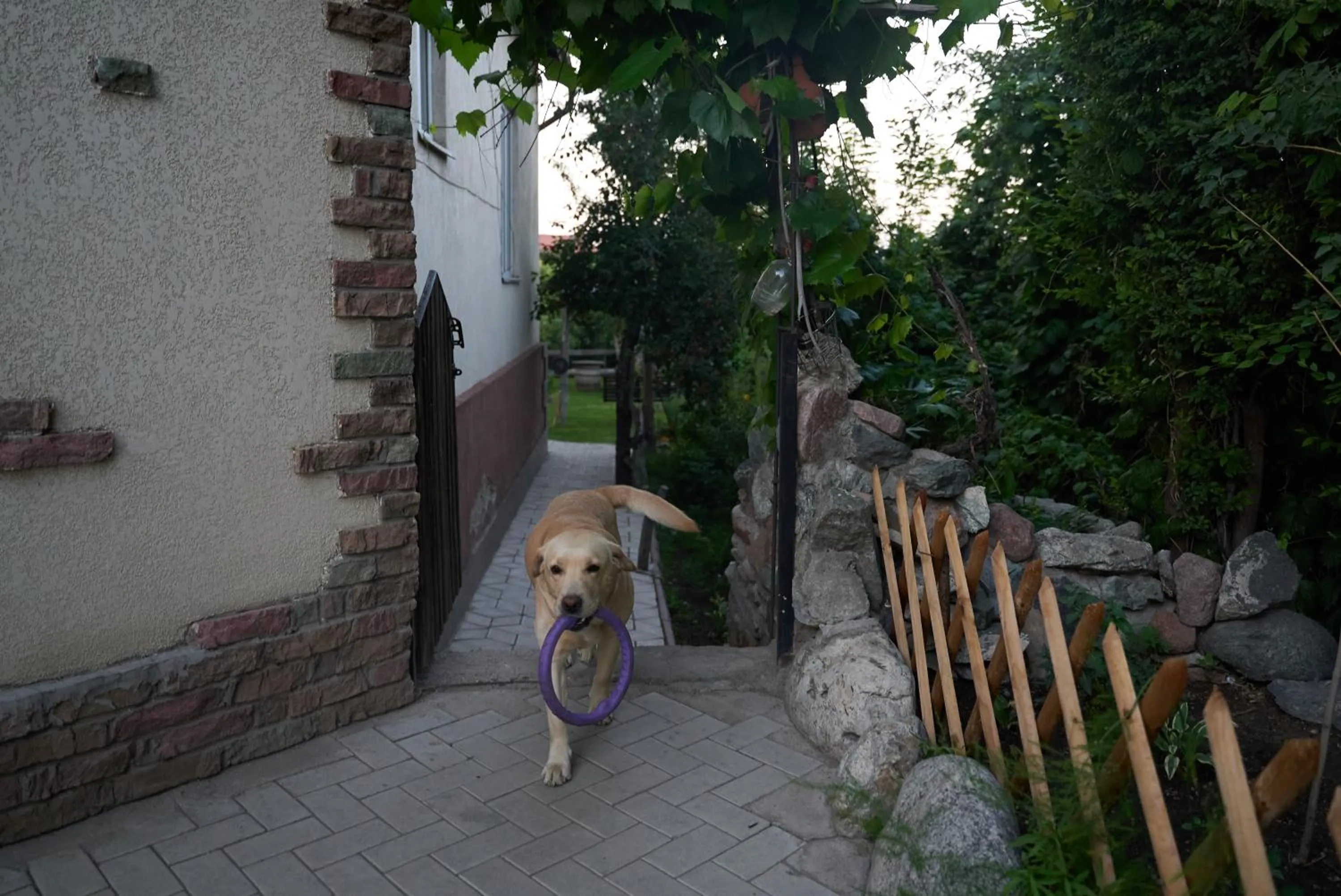Argo Guest House
