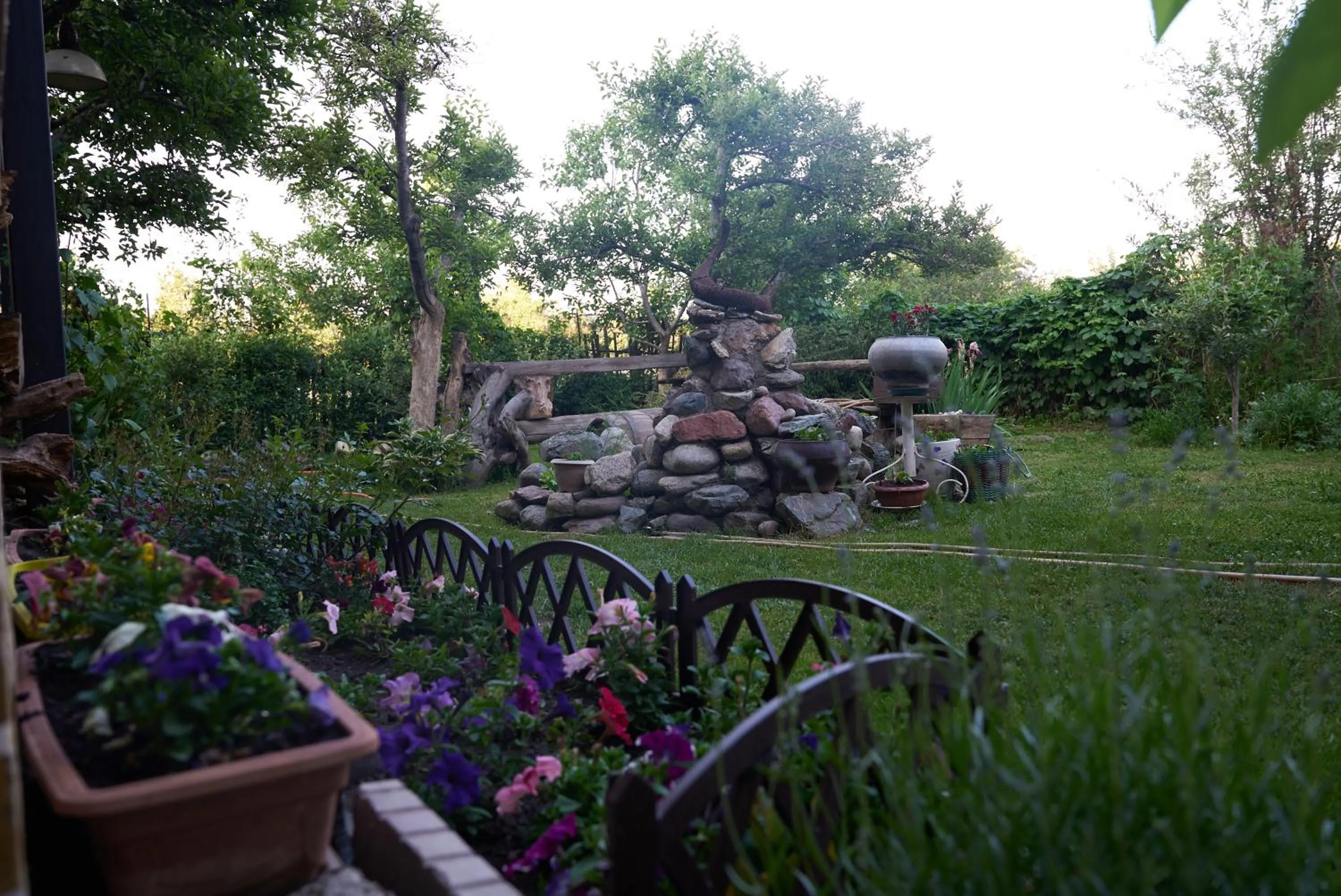 Argo Guest House