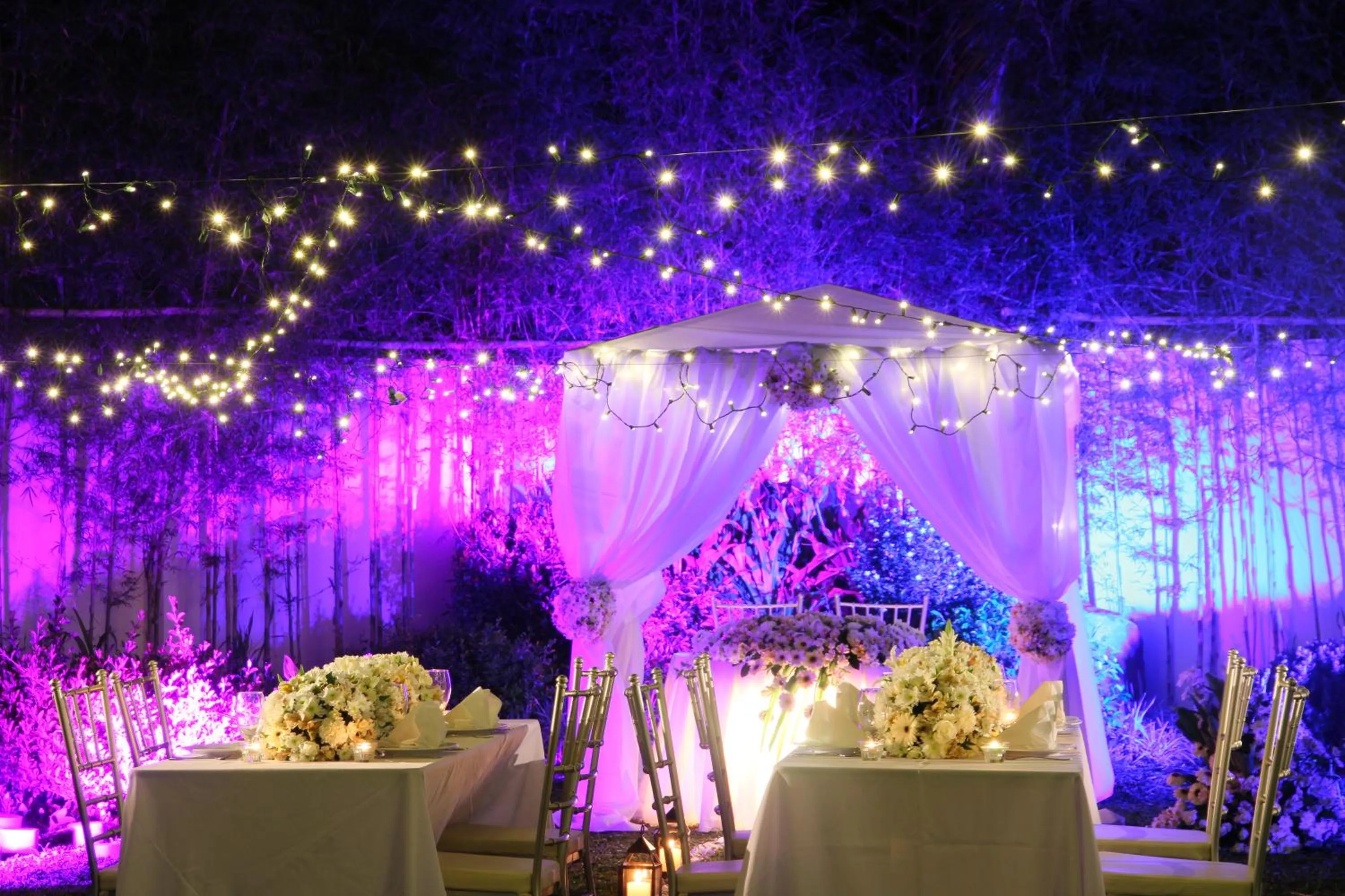 Entertainment in The Harvest Hotel Managed by HII