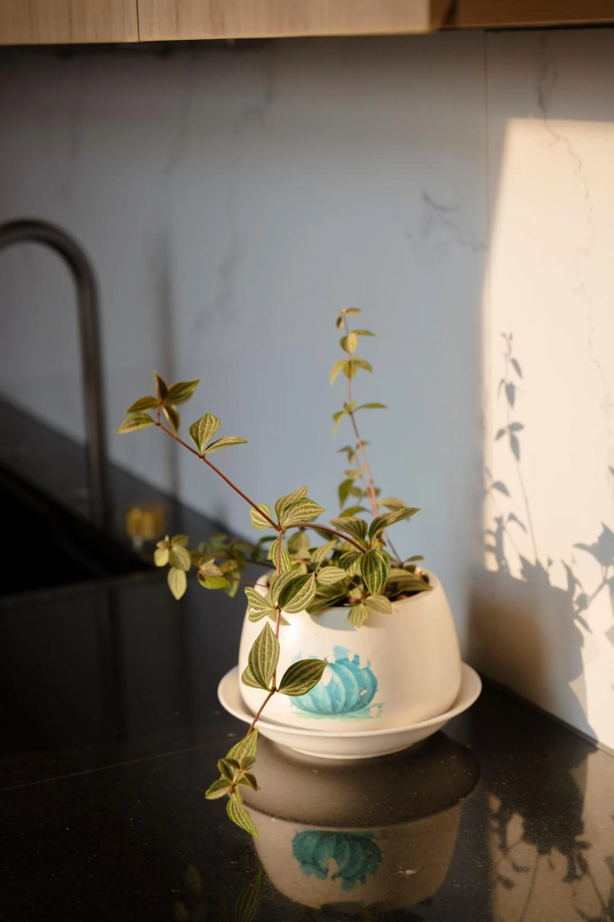 hair dresser in Serene Stay