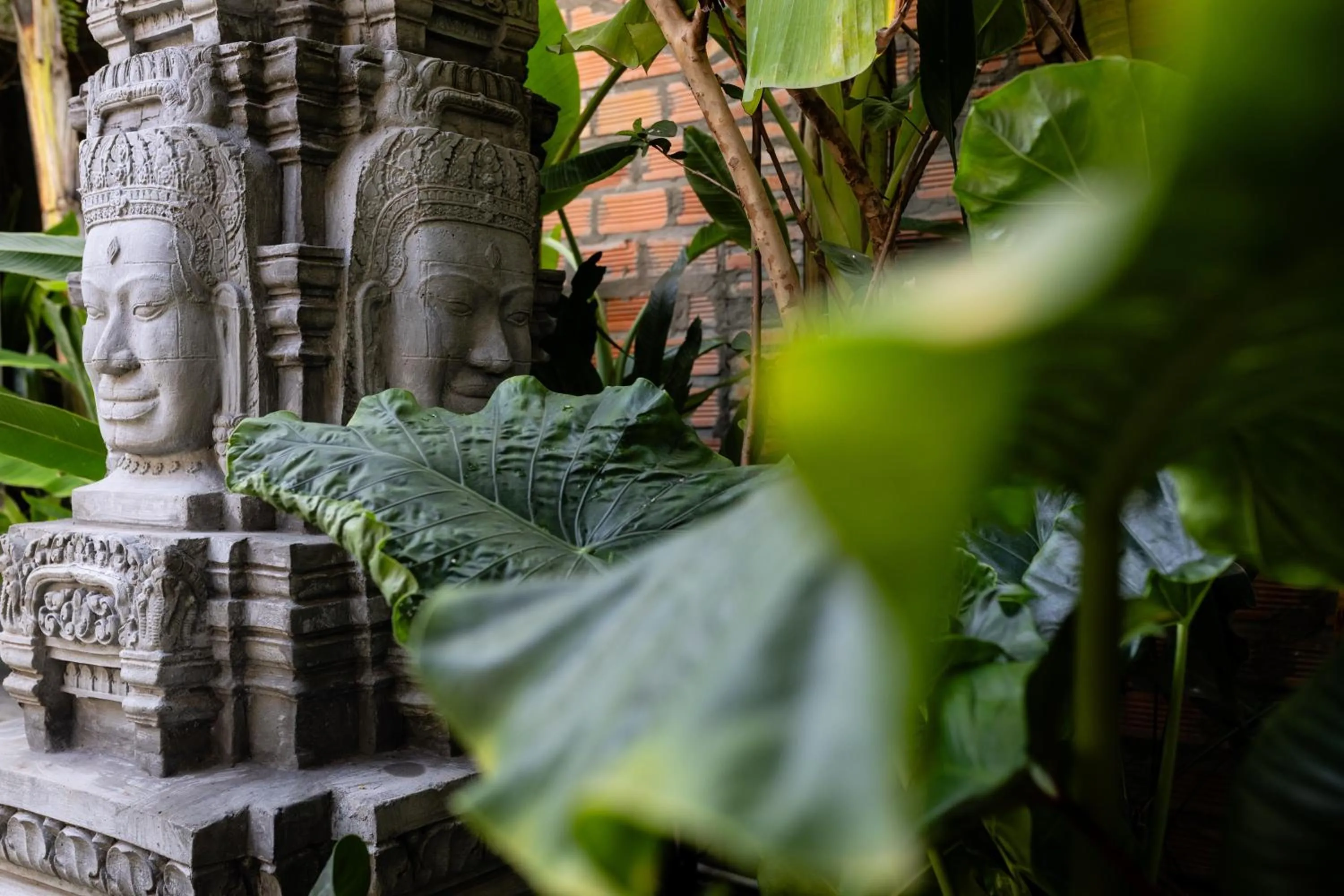 Day in Moringa Tree Maison