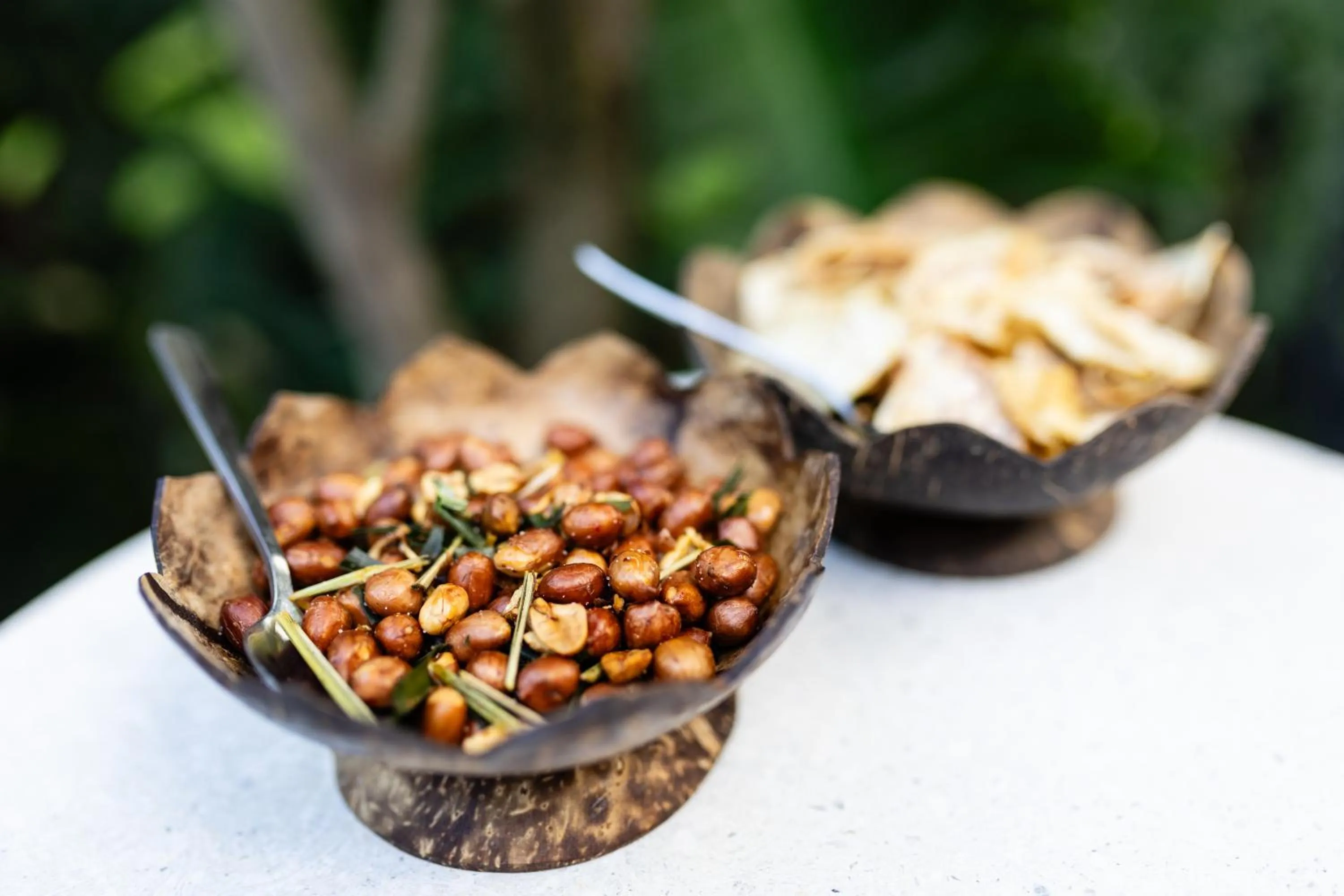 Food in Moringa Tree Maison