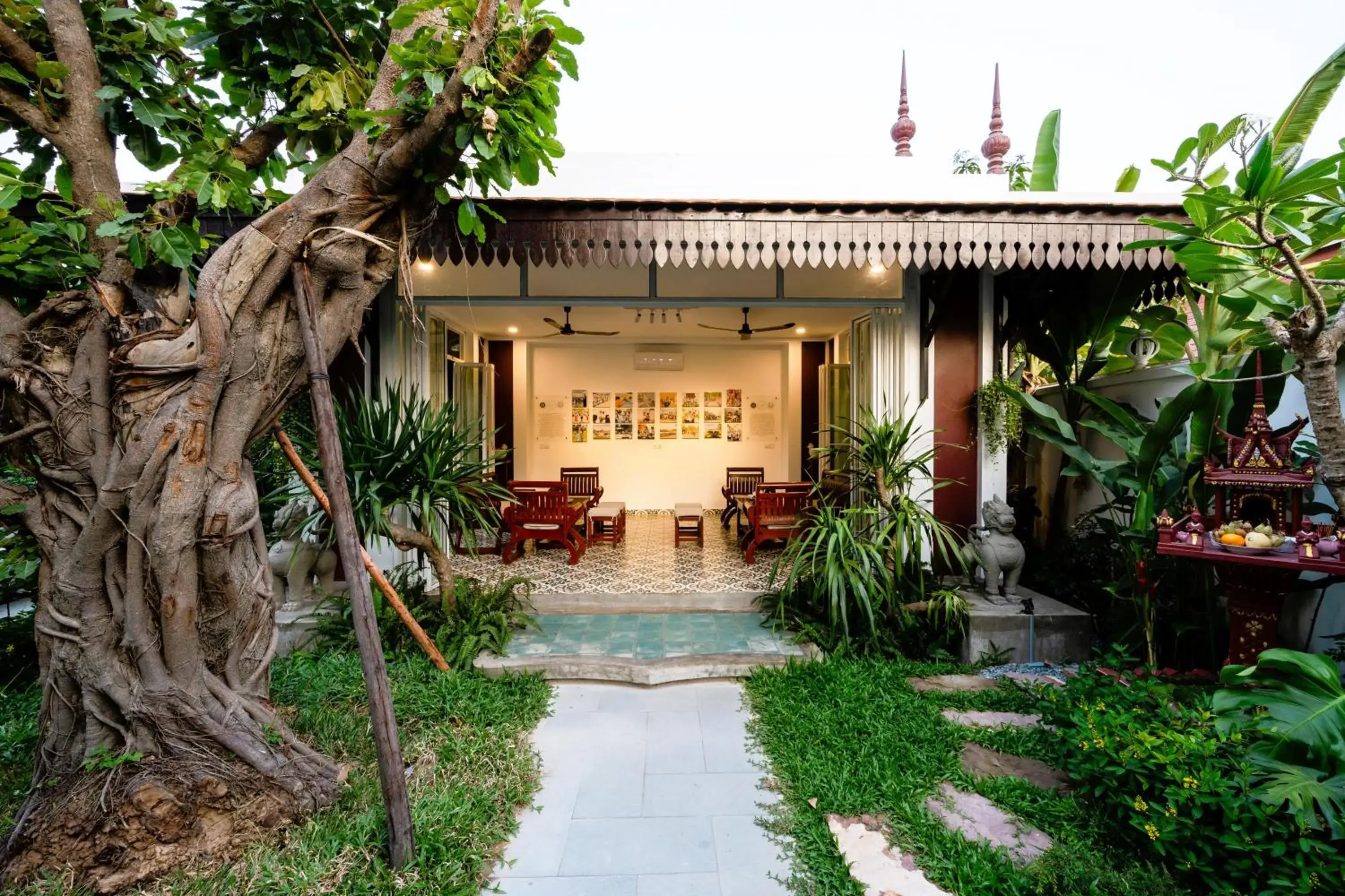 Moringa Tree Maison Moringa Tree Maison