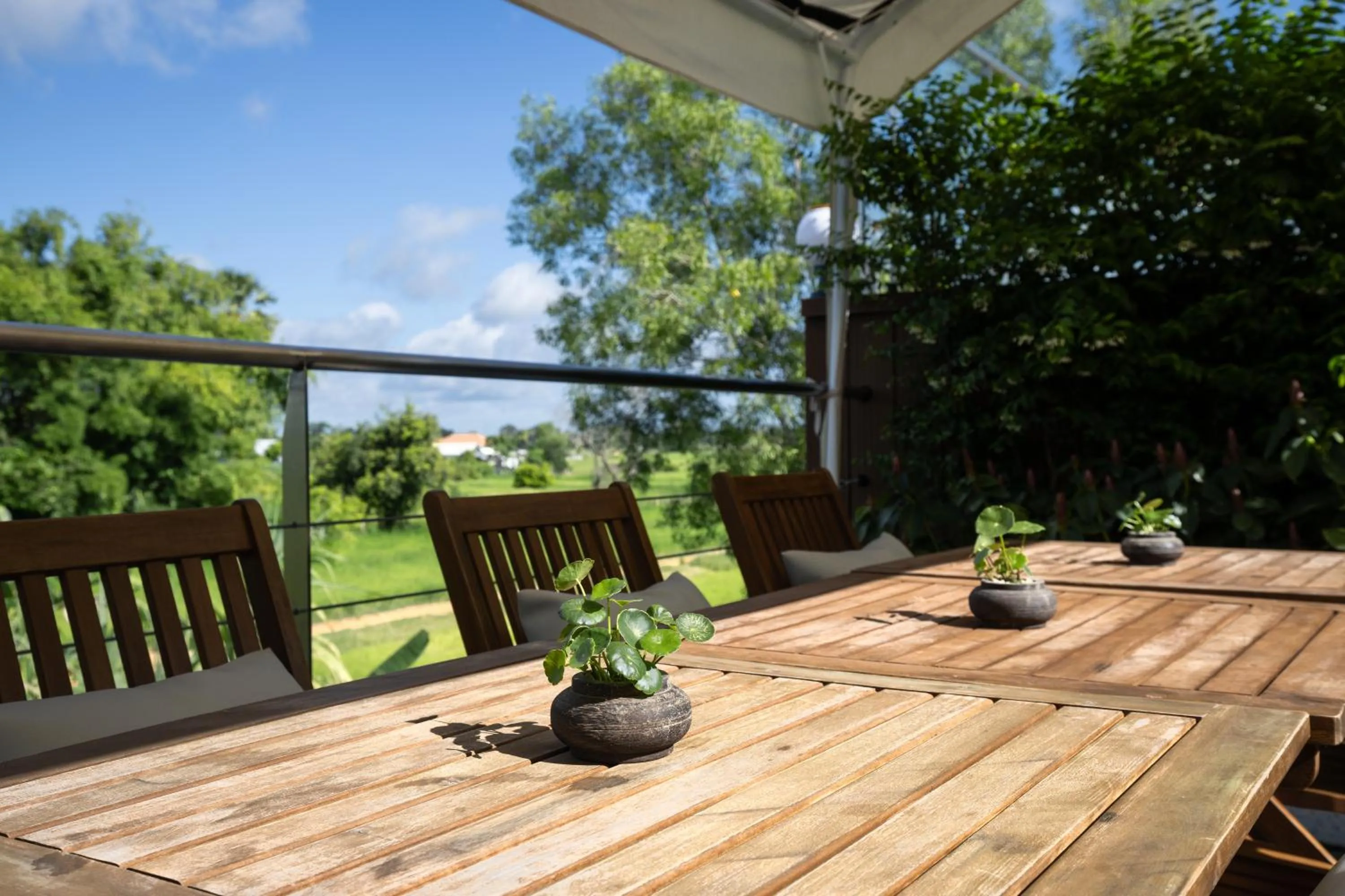 Restaurant/places to eat in Moringa Tree Maison