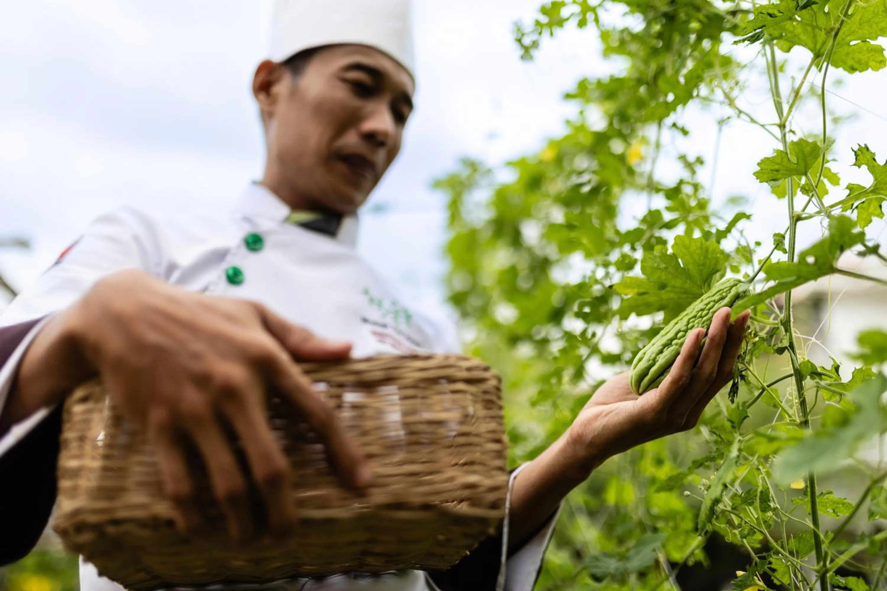 People in Moringa Tree Maison