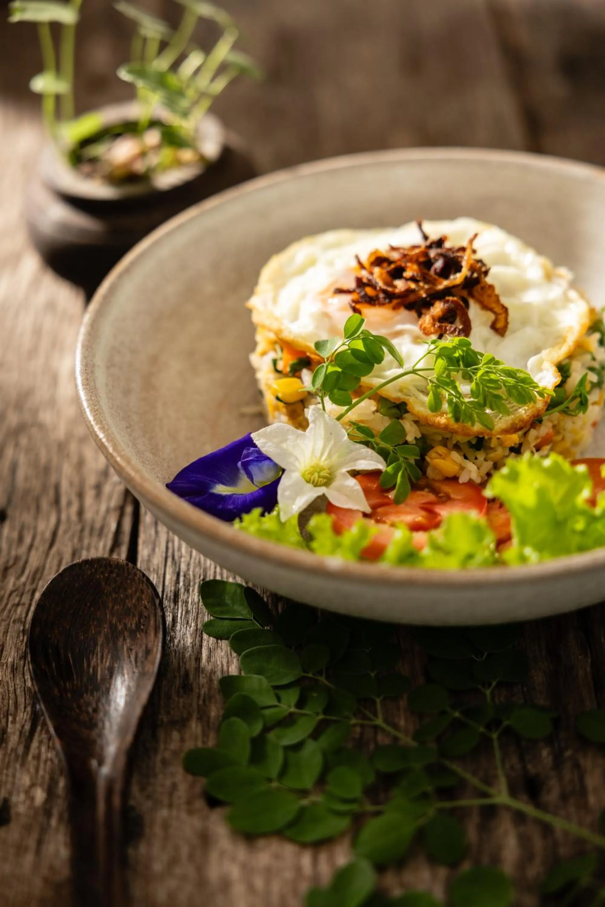 Food close-up in Moringa Tree Maison
