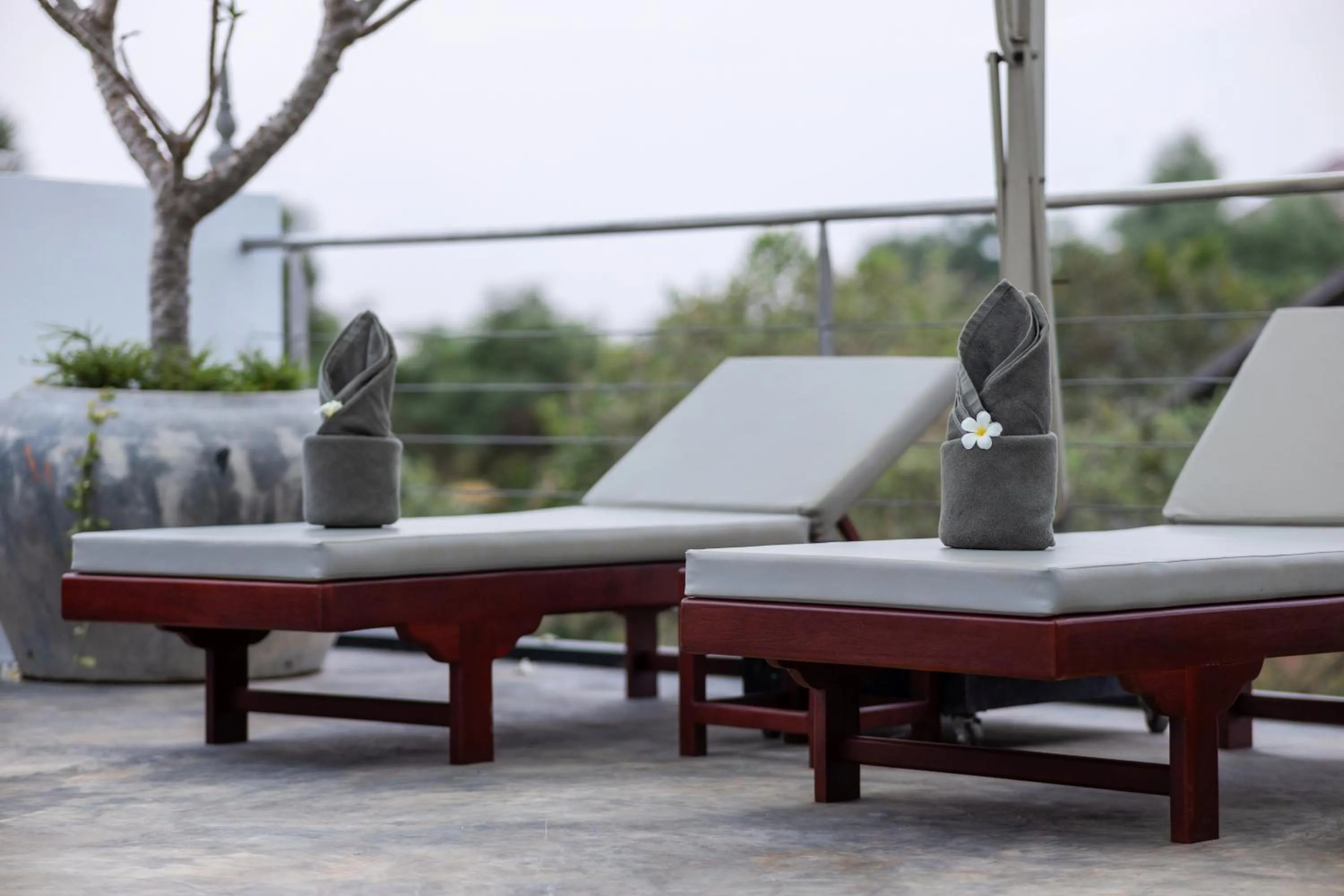 Swimming pool in Moringa Tree Maison