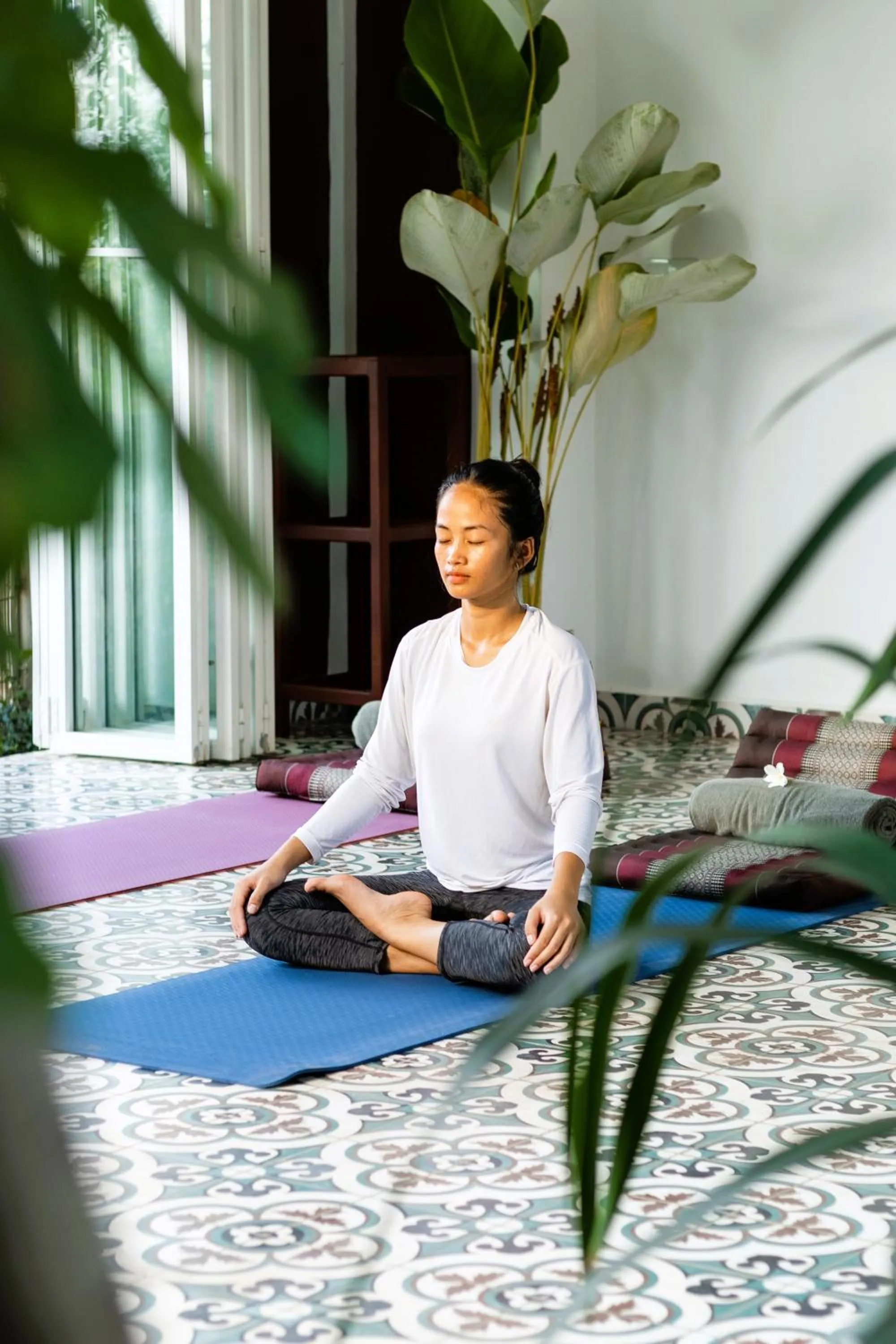 Activities in Moringa Tree Maison