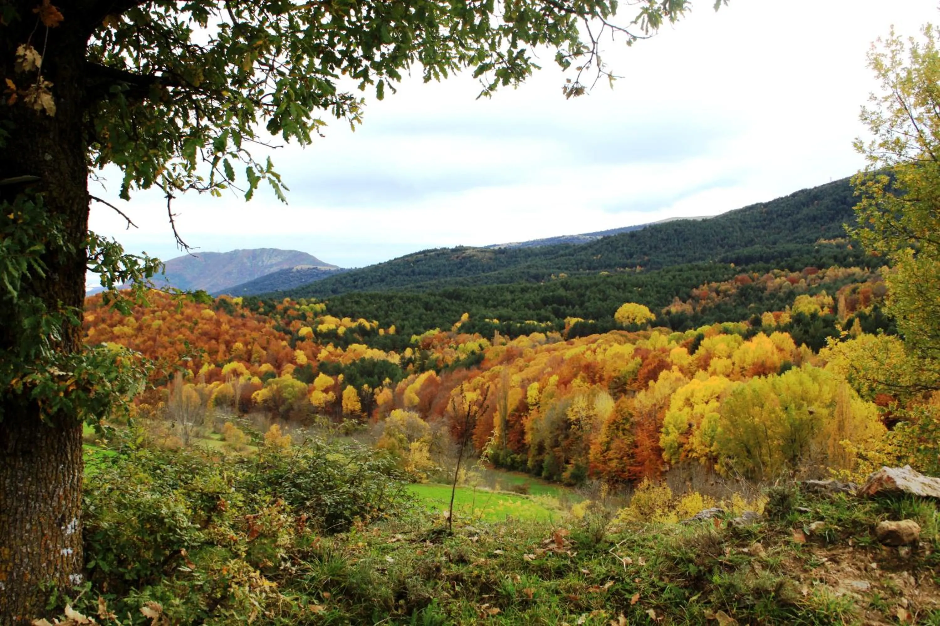View (from property/room) in Hotel Terra Bonansa