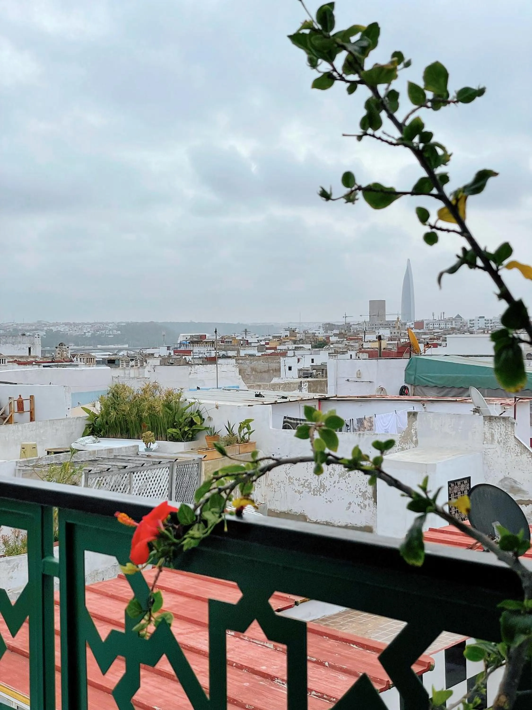 City view in Dar Lalzohra