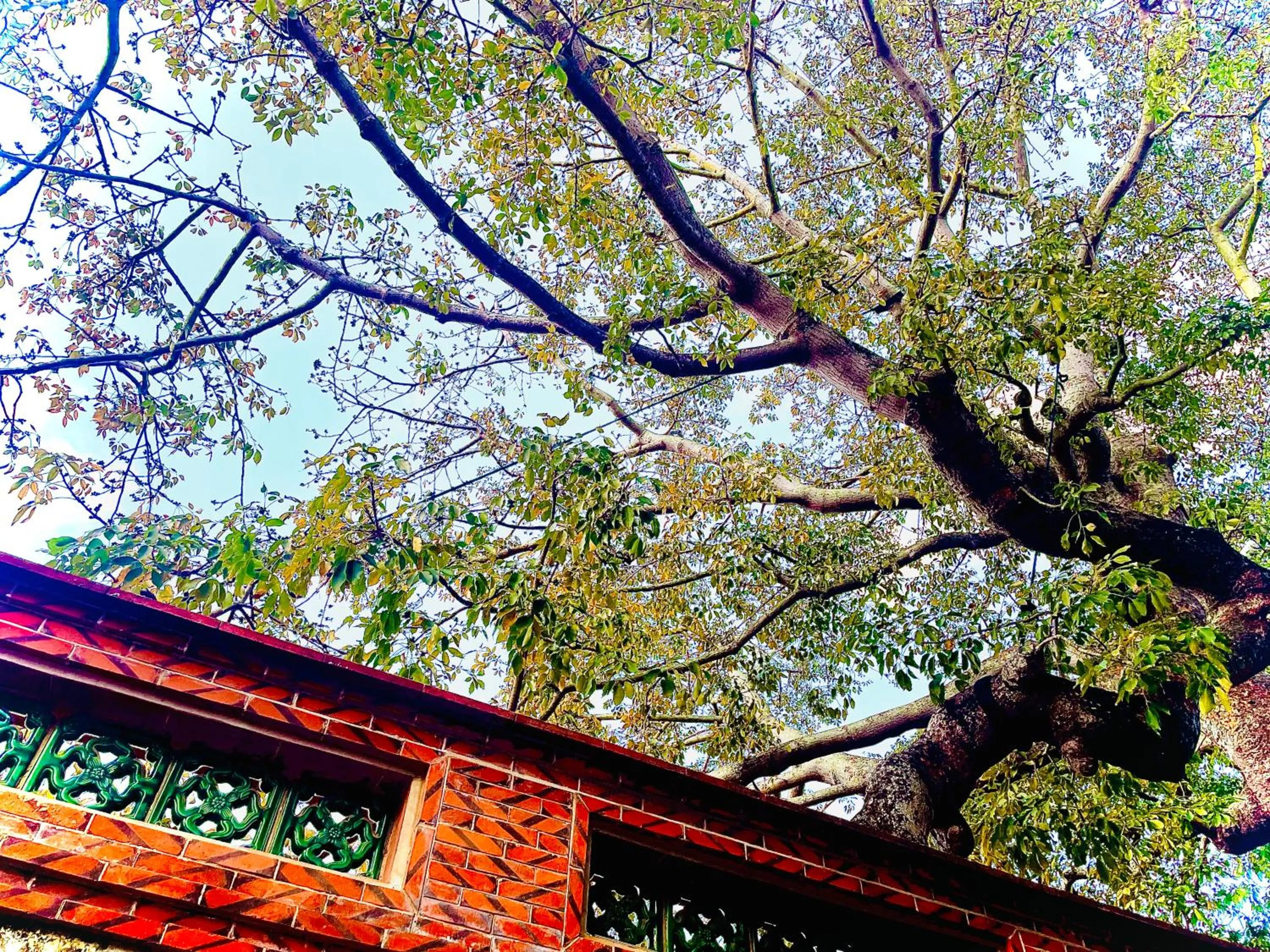 Natural landscape in WDbnb