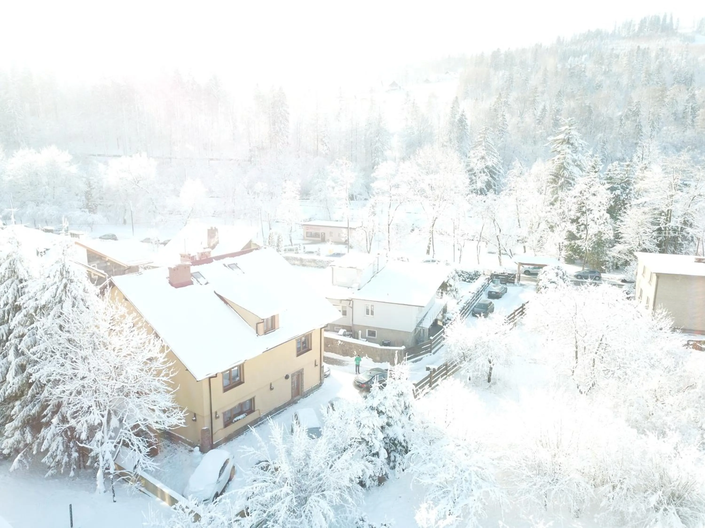 Bird's eye view in Villa Miłosna