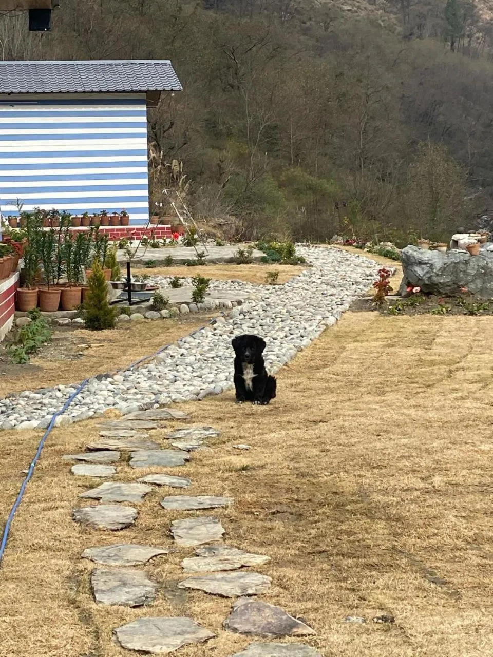 View (from property/room) in Bhagirathi Resort by Aikyam