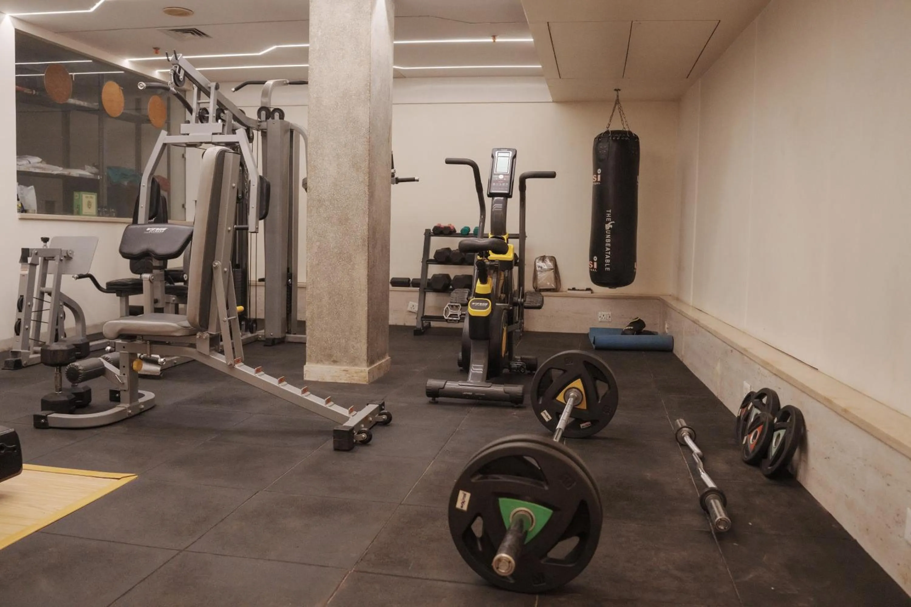 Fitness centre/facilities in Empire Platinum Suites-Luxury Aparthotel Central Delhi