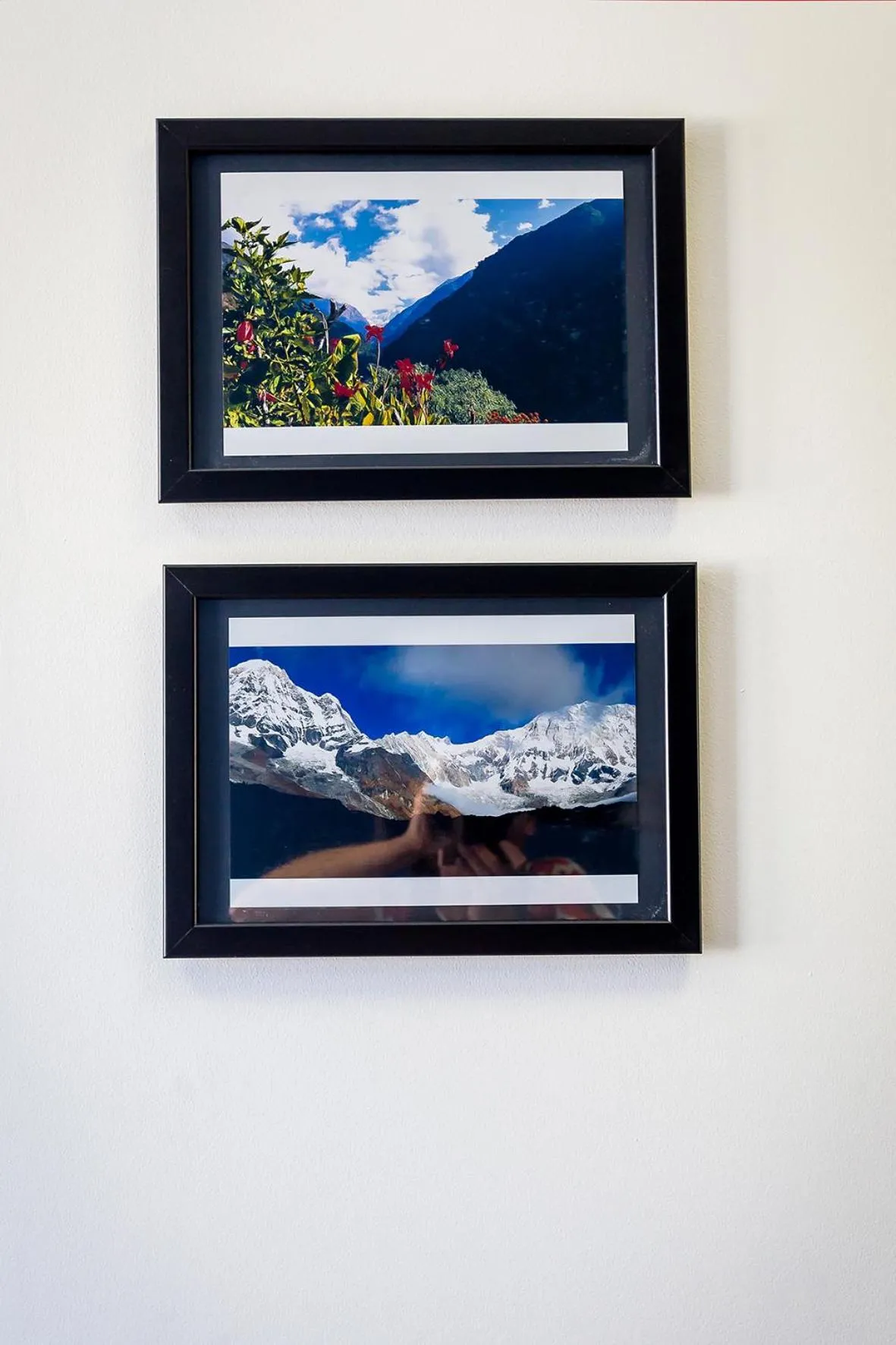 Hello Hostel & Apartments