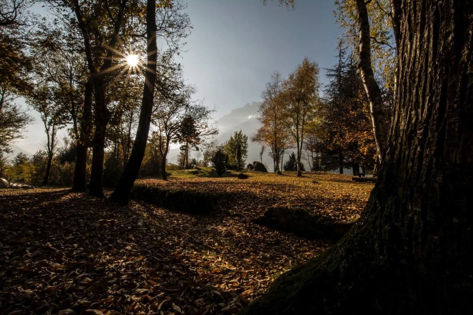 Property building in Casa Visnenza Bed & Breakfast