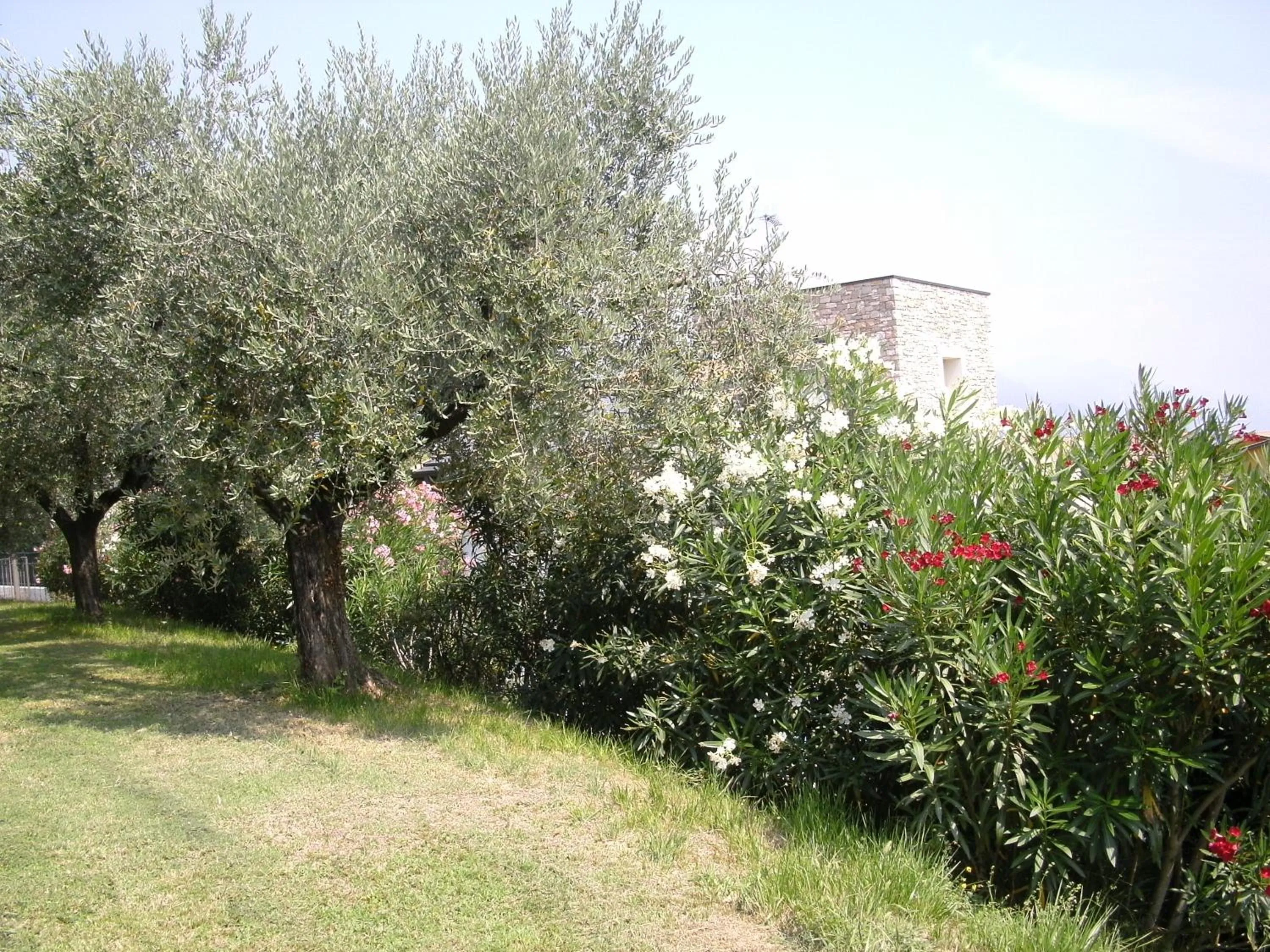 Property building in B&B Agli Ulivi