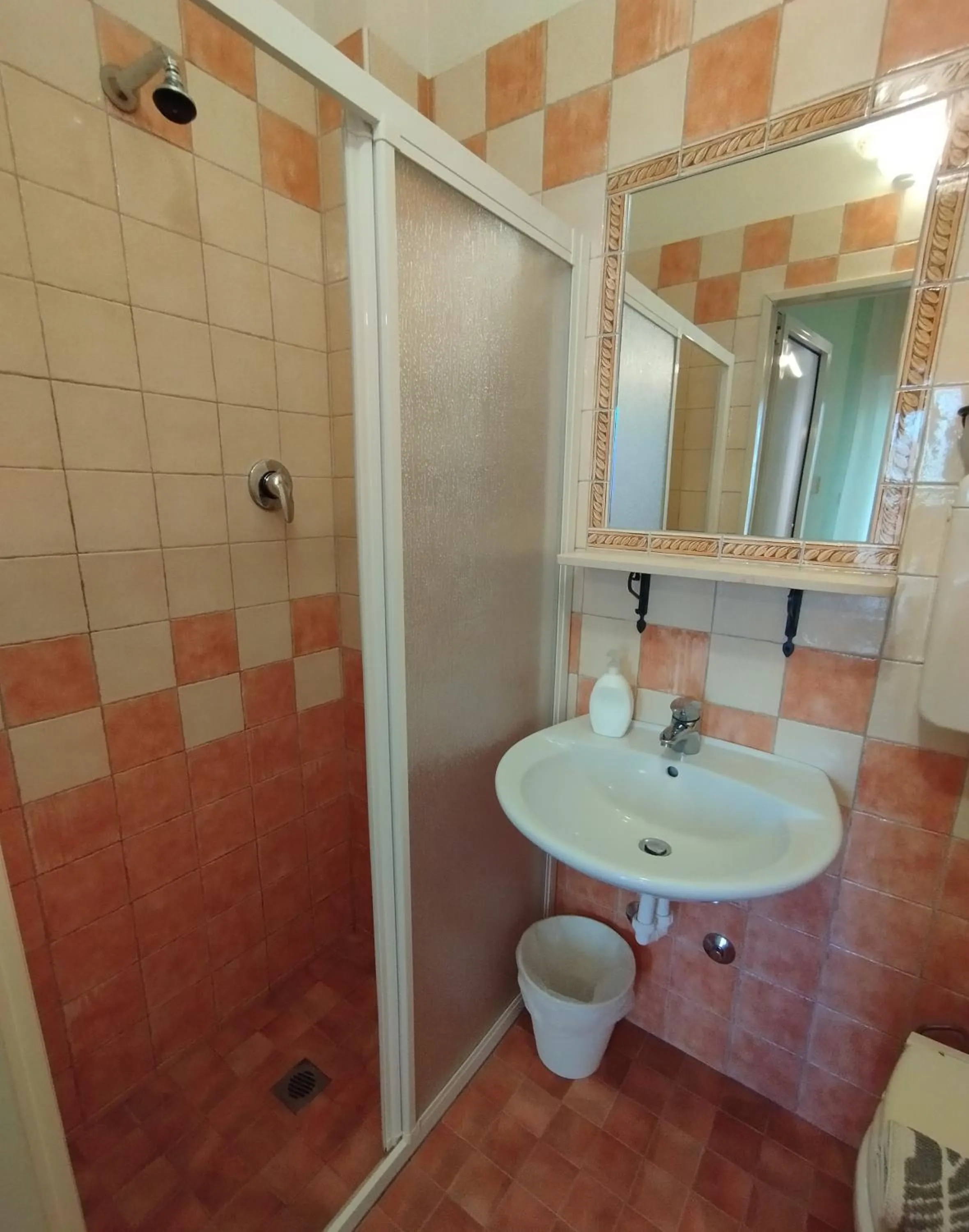 Bathroom in Hotel Anita