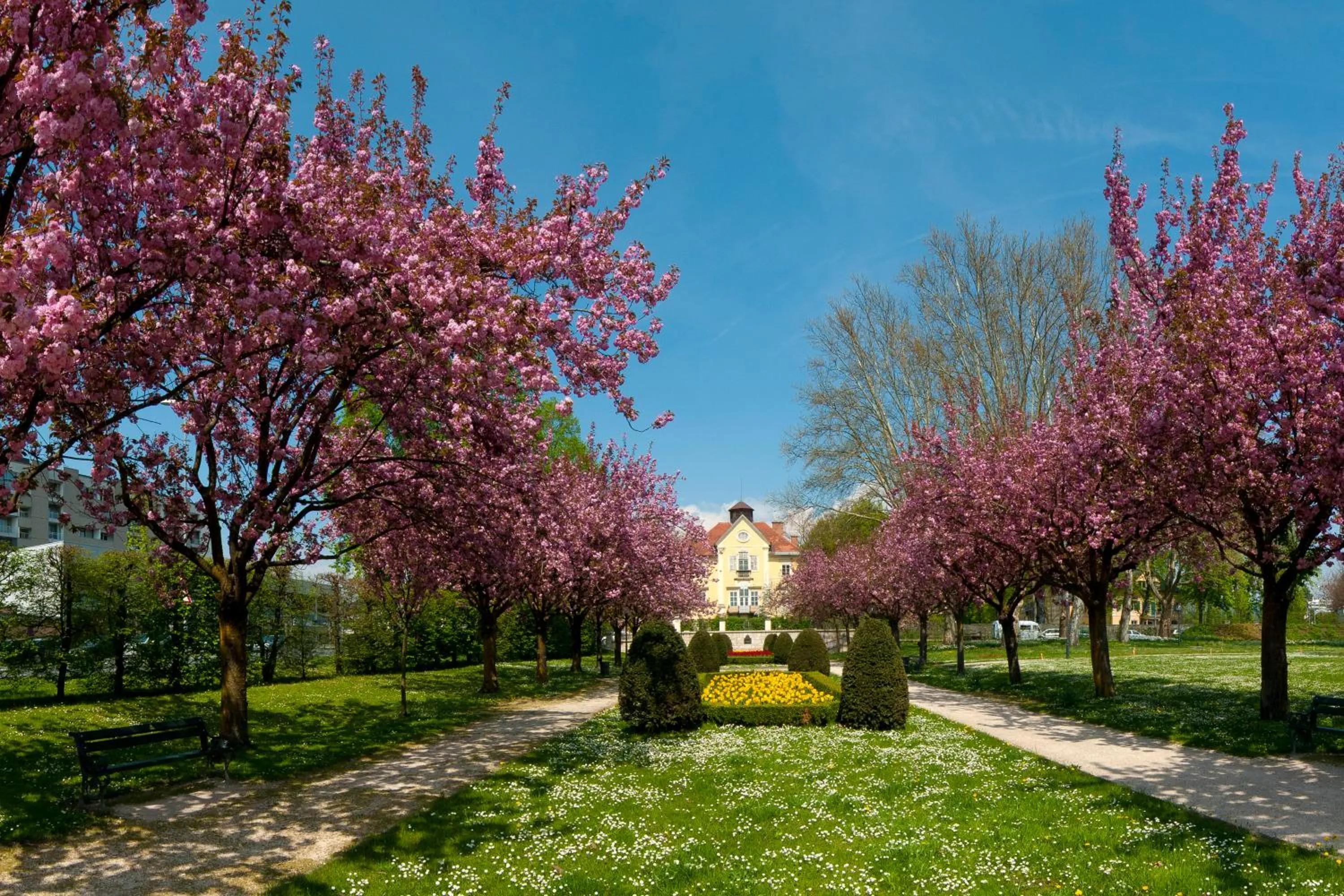Cityhotel am Domplatz Self-CheckIn